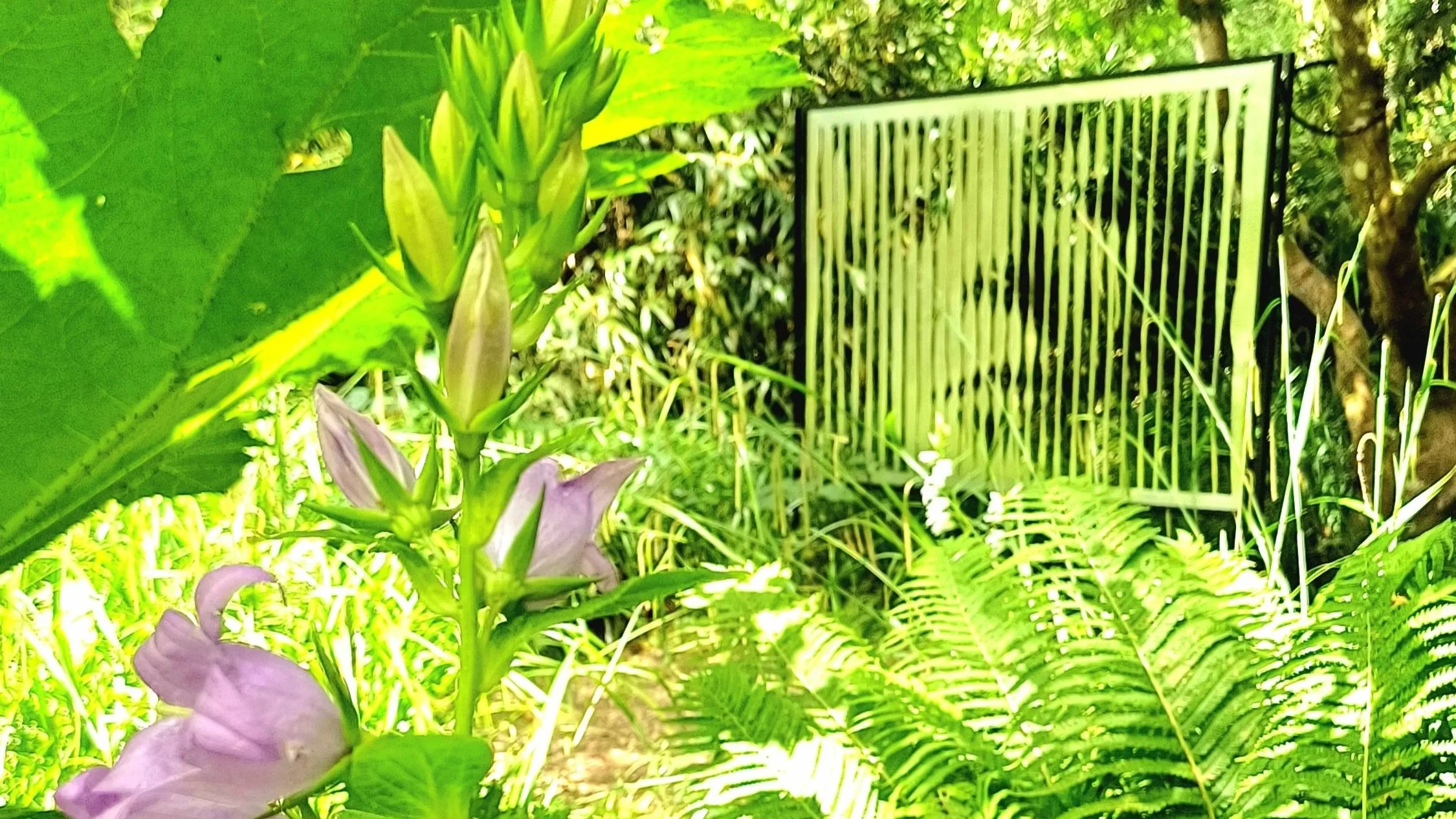 20250624_123730.jpg