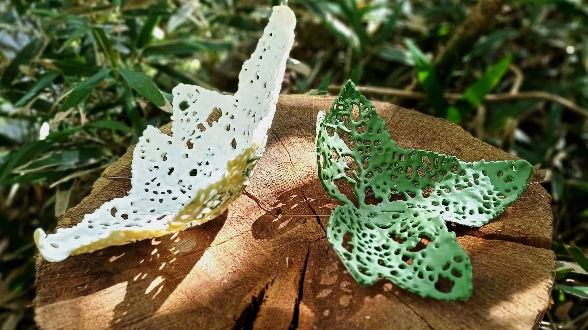 20260412_114951.jpg