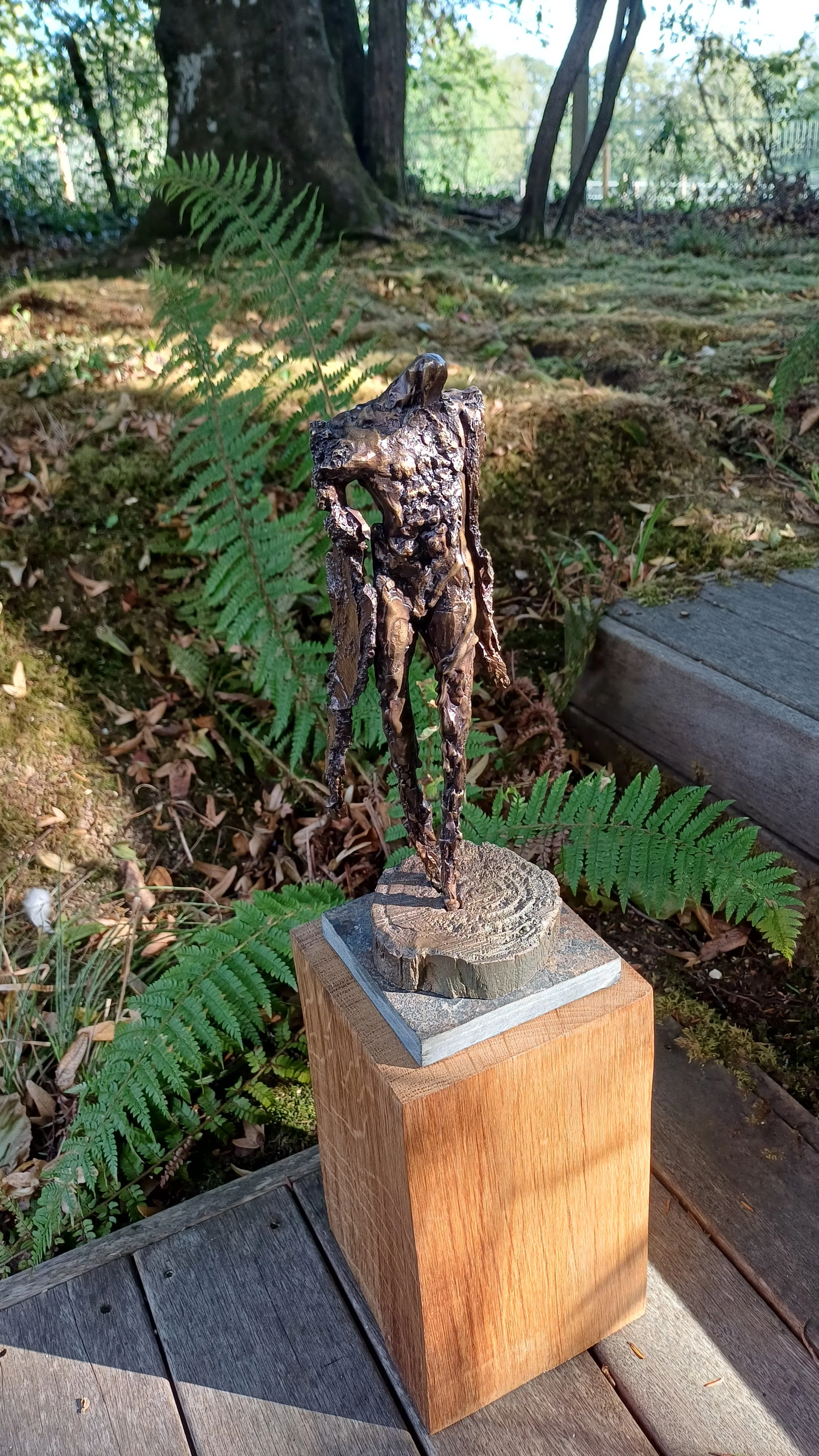 'Icarus' by Jane Bohane