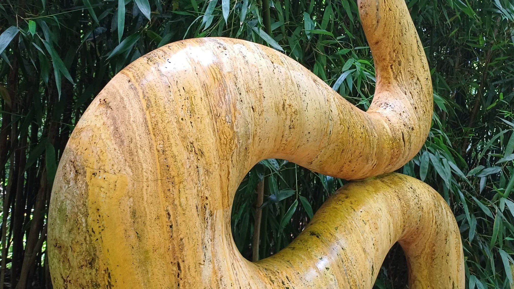 1000057098.jpg
