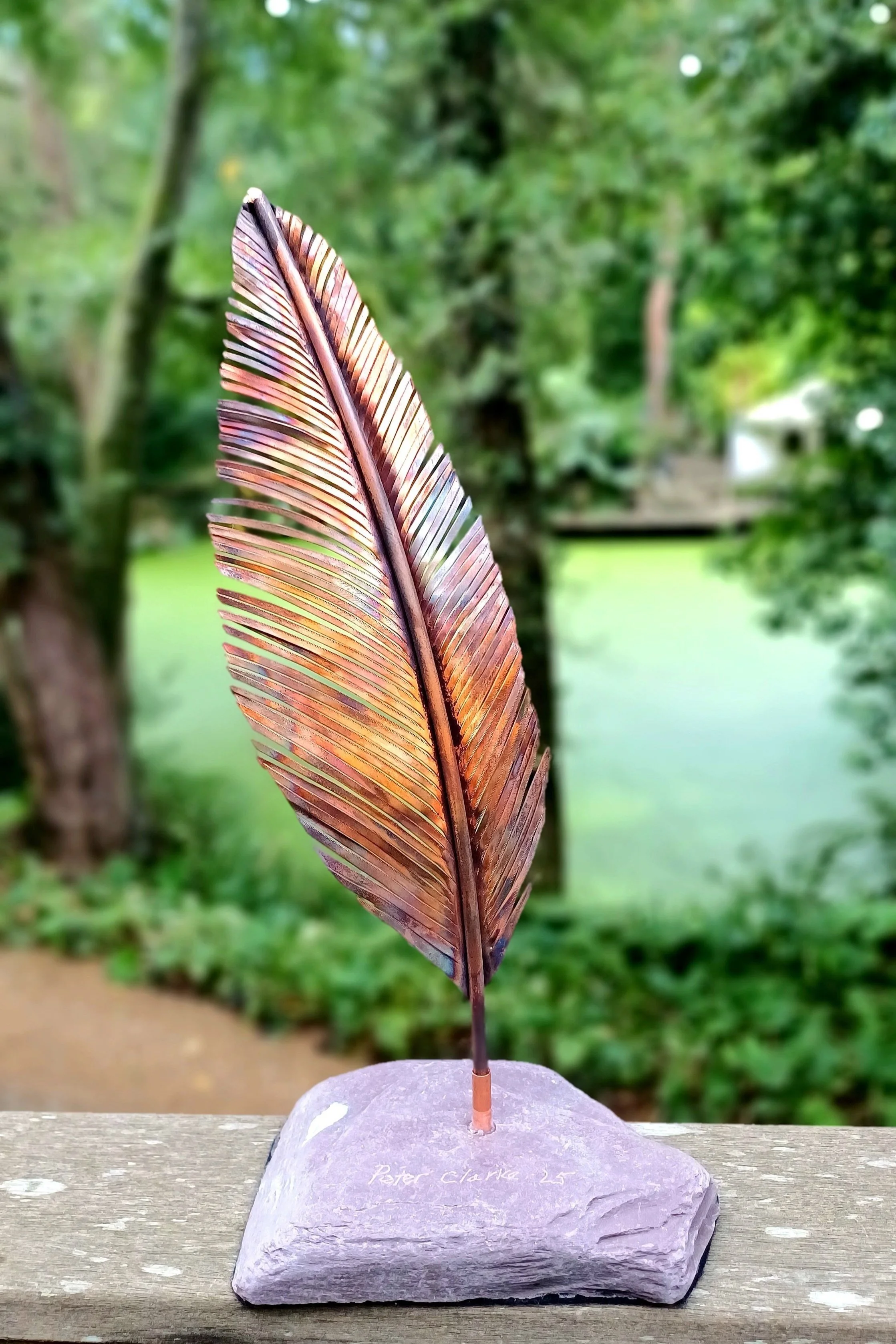 20250904_124314.jpg