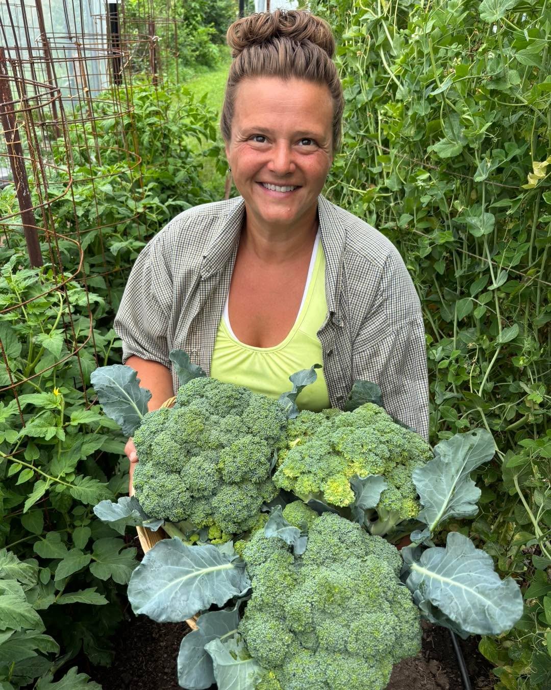 Check out this incredible broccoli and cauliflower from the production gardens!  #produce #gardening #macombil #garden #vegetables #eatfresh #eatlocal