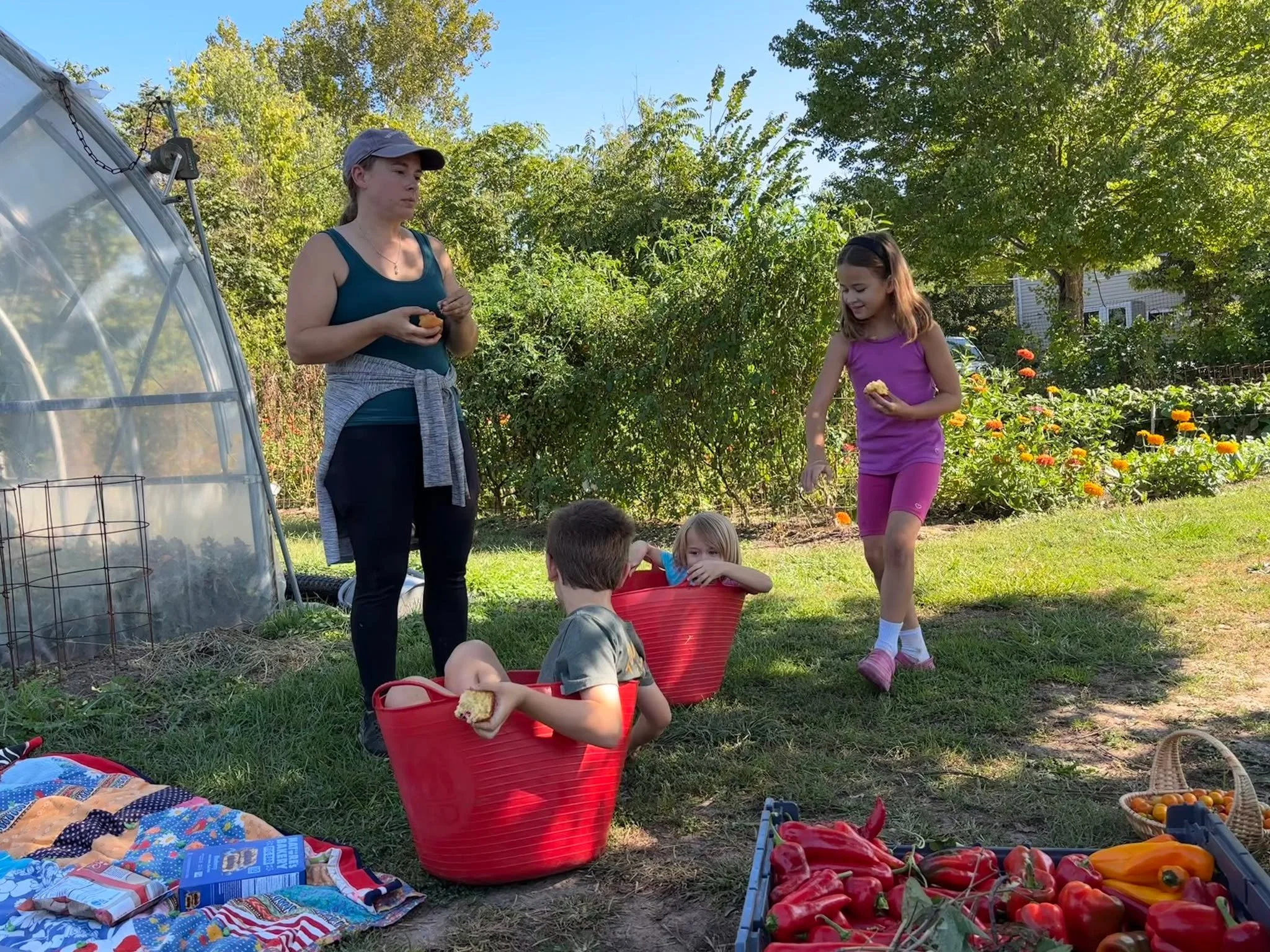 Harvesting at the production gardens is even more fun when garden buckets are around 😊👩&zwj;🌾💚

#fun #kids #gardening #harvesting #gardenfun #kidsbeingkids❤️