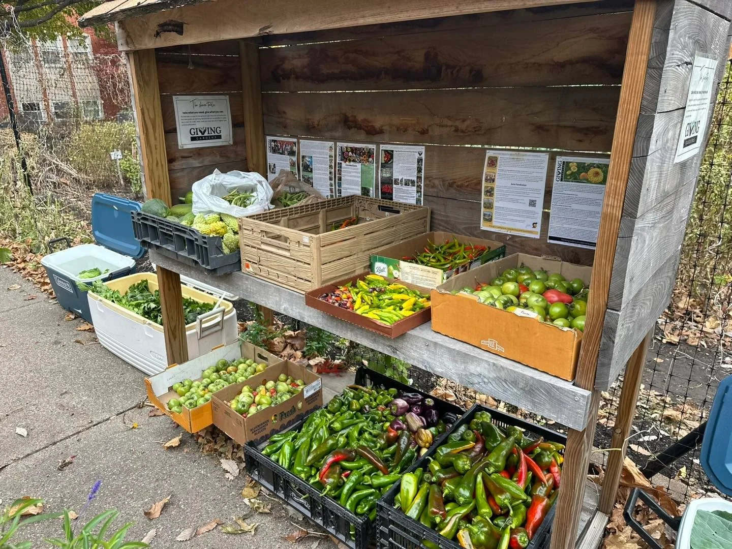 FINAL CALL at the Giving Gardens Share Space!  We harvested the last produce from our production gardens today.  Come by and take what you can use! 

#gardentips #localgrowers #gardening #GivingGardens #localfood #local #givinggardensforall #update #