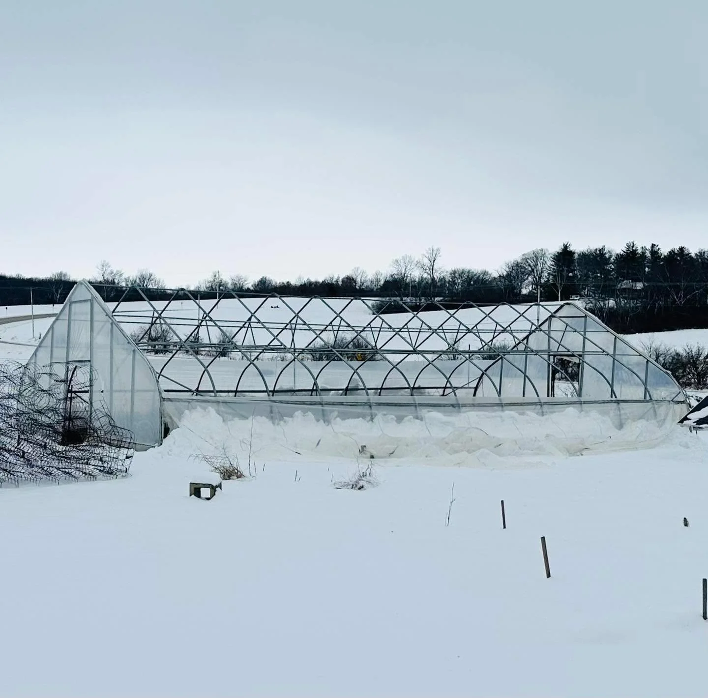 Last night&rsquo;s wind and snow tore the plastic off of one of the solar houses in the production gardens! 

#localgrowers #GivingGardens #localfood #local #givinggardensforall #growers #macombil #macombillinois #community #givinggardens #garden #ga