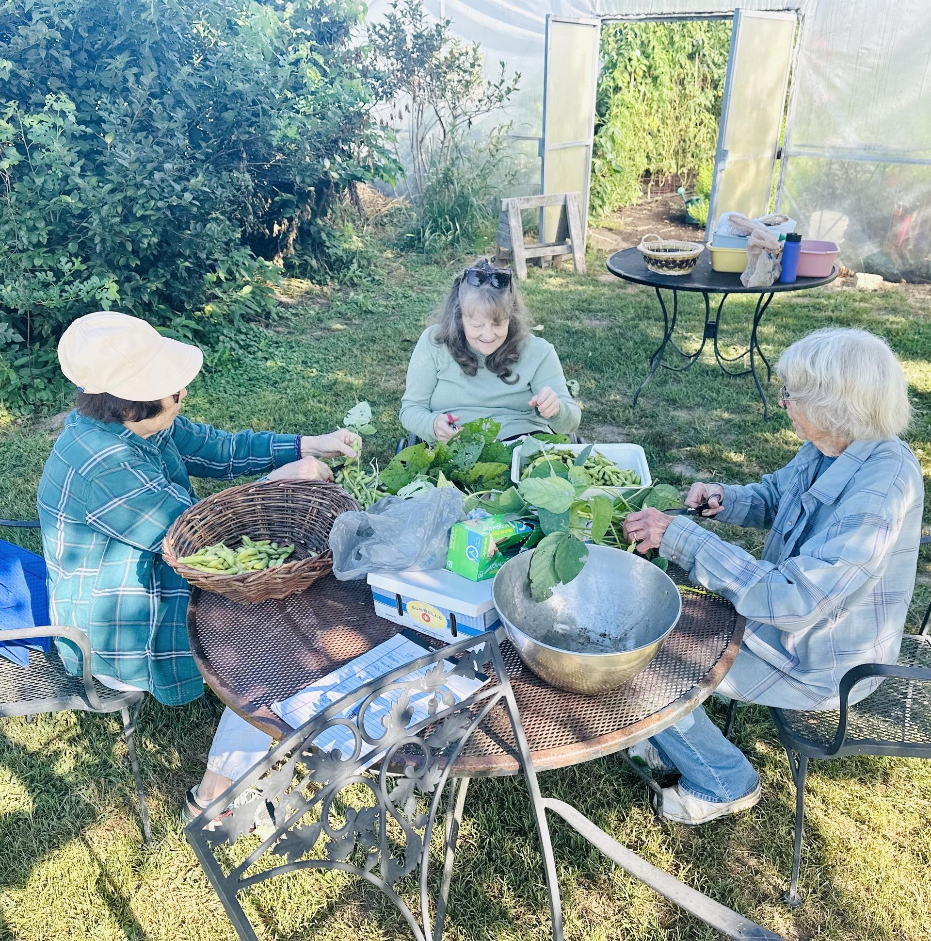 Our volunteers served 2,035 hours this season - more than FIVE times our 2024 hours!!! Our volunteers are living proof that The Giving Gardens is truly a community-driven effort. 

We value our dedicated volunteer team highly.  We think a lot about h