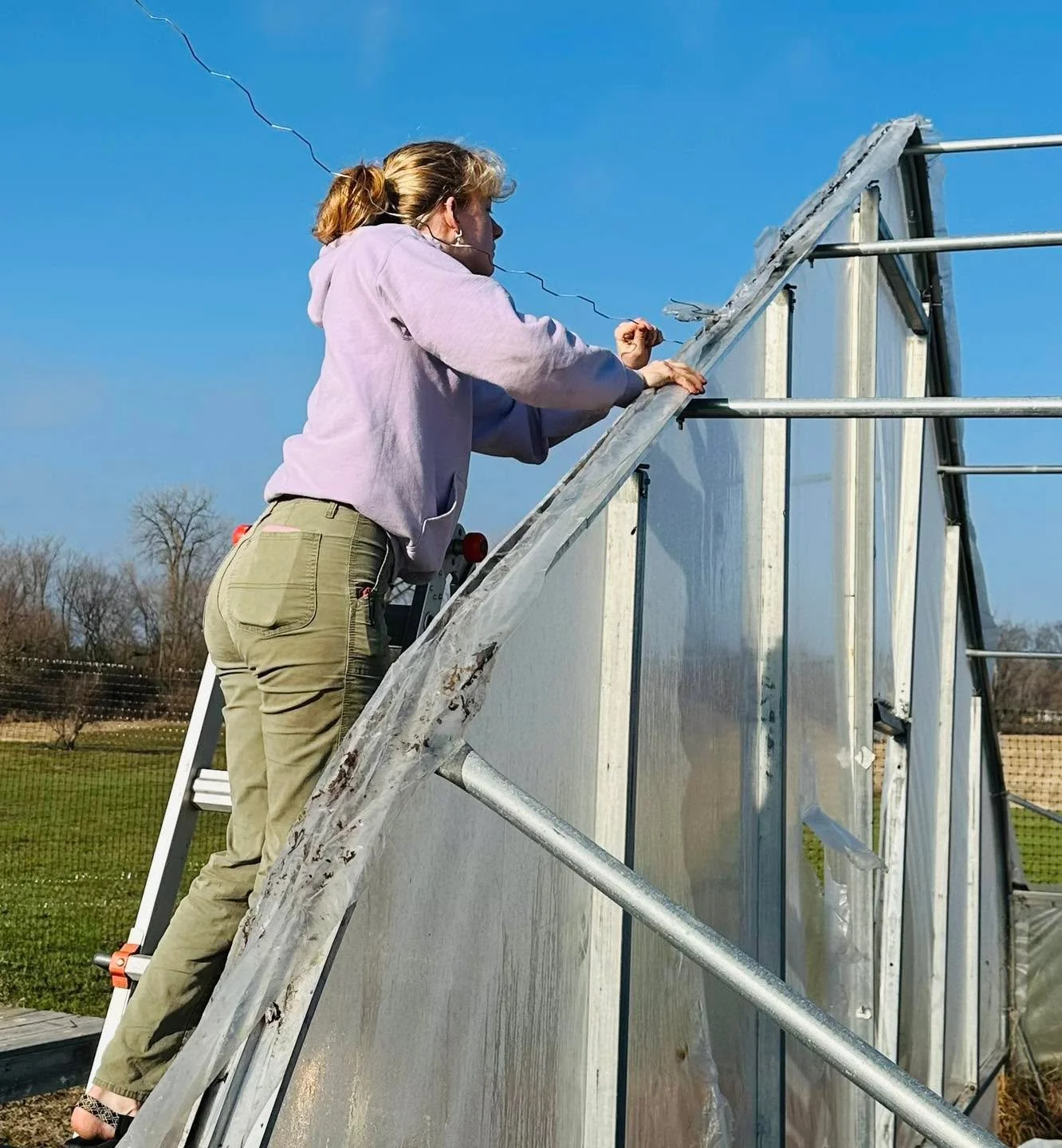 We stripped the old plastic off of the small solar house today.  This is an important step to prepare for the new plastic (which has been ordered) that is scheduled to arrive later this month.  Thanks to our volunteers and our generous supporters who