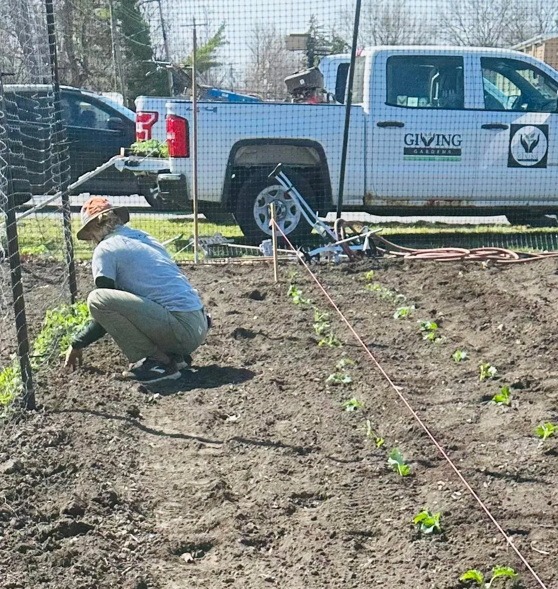 Planting sugar snap peas at Lincoln School this afternoon. 

#gardentips #localgrowers #gardening #GivingGardens #localfood #local #givinggardensforall #macombil #macombillinois #growers #gardenlife #givinggardens #garden #gardens