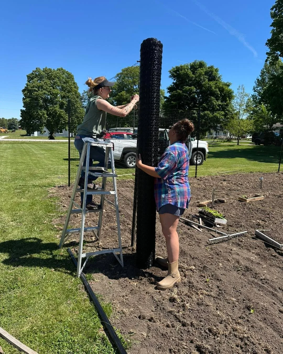 Yesterday, we were at Roseville to rototill their new public access garden a final time, put up deer fence and transplant and water in sweet peppers, jalape&ntilde;os, tomatoes, green beans, okra, kale, collards, zinnias, cilantro, dill, parsley, cel