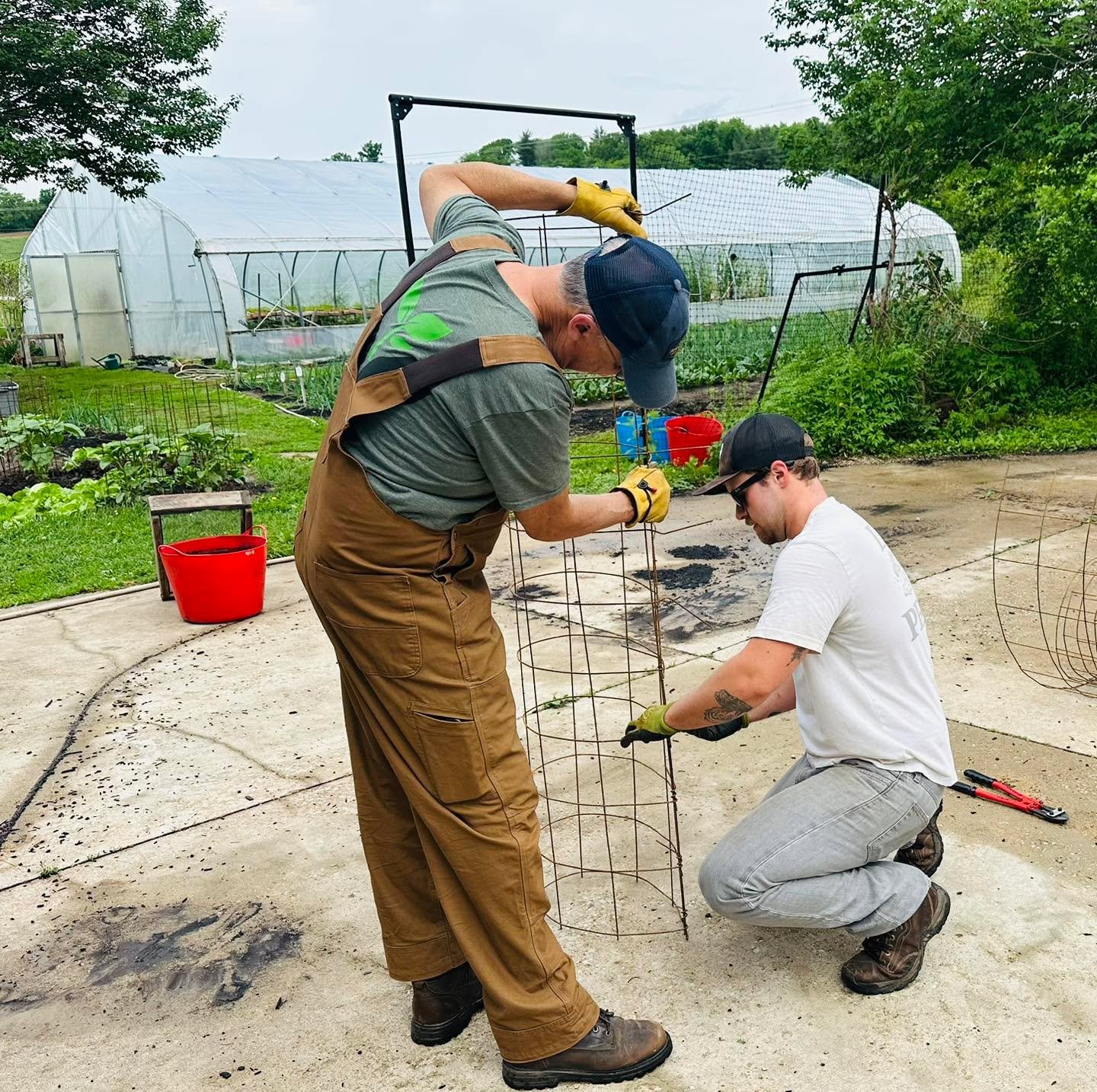 Yesterday, we started cage building (in this photo, Tyler and Jim are making &ldquo;pepper&rdquo; cages). At the Giving Gardens, we use concrete reinforcement wire to create supports for many of our crops including tomatoes, peppers, and eggplants.  