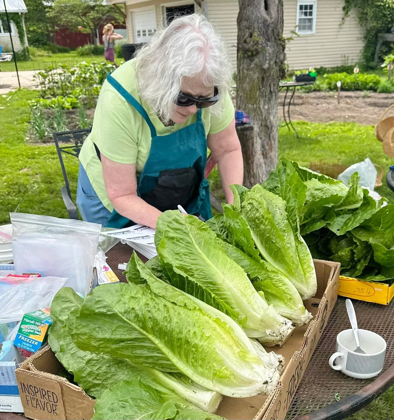 We harvested green beans, snap peas, heads of romaine lettuce, spinach, chard, kale, and cilantro at the production gardens this morning. Thanks to our awesome volunteers for helping us harvest fresh, real, quality, local foods to share with the comm