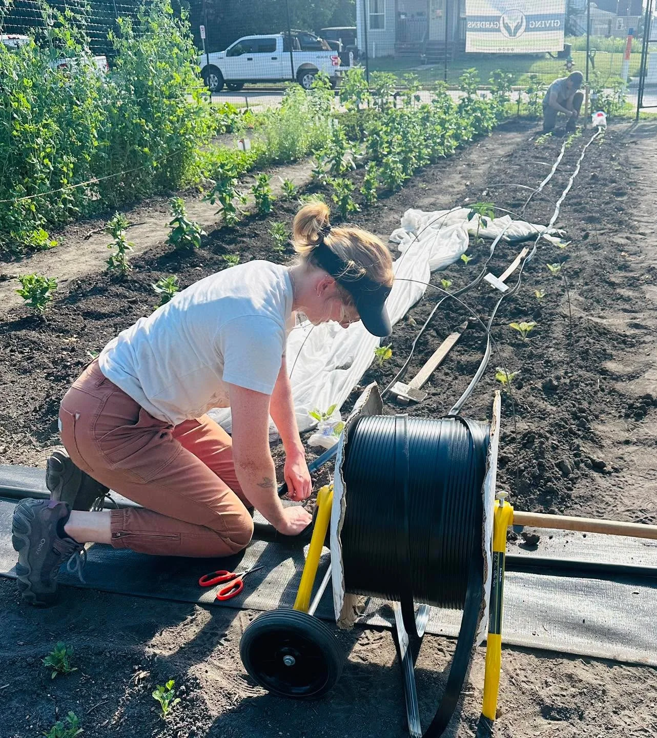 Yesterday, our team of AmeriCorps members and volunteers installed drip irrigation, hand watered,  and set up plant supports at the big production garden on the corner of West Adams and North Johnson in Macomb .  The drip irrigation is a little time 