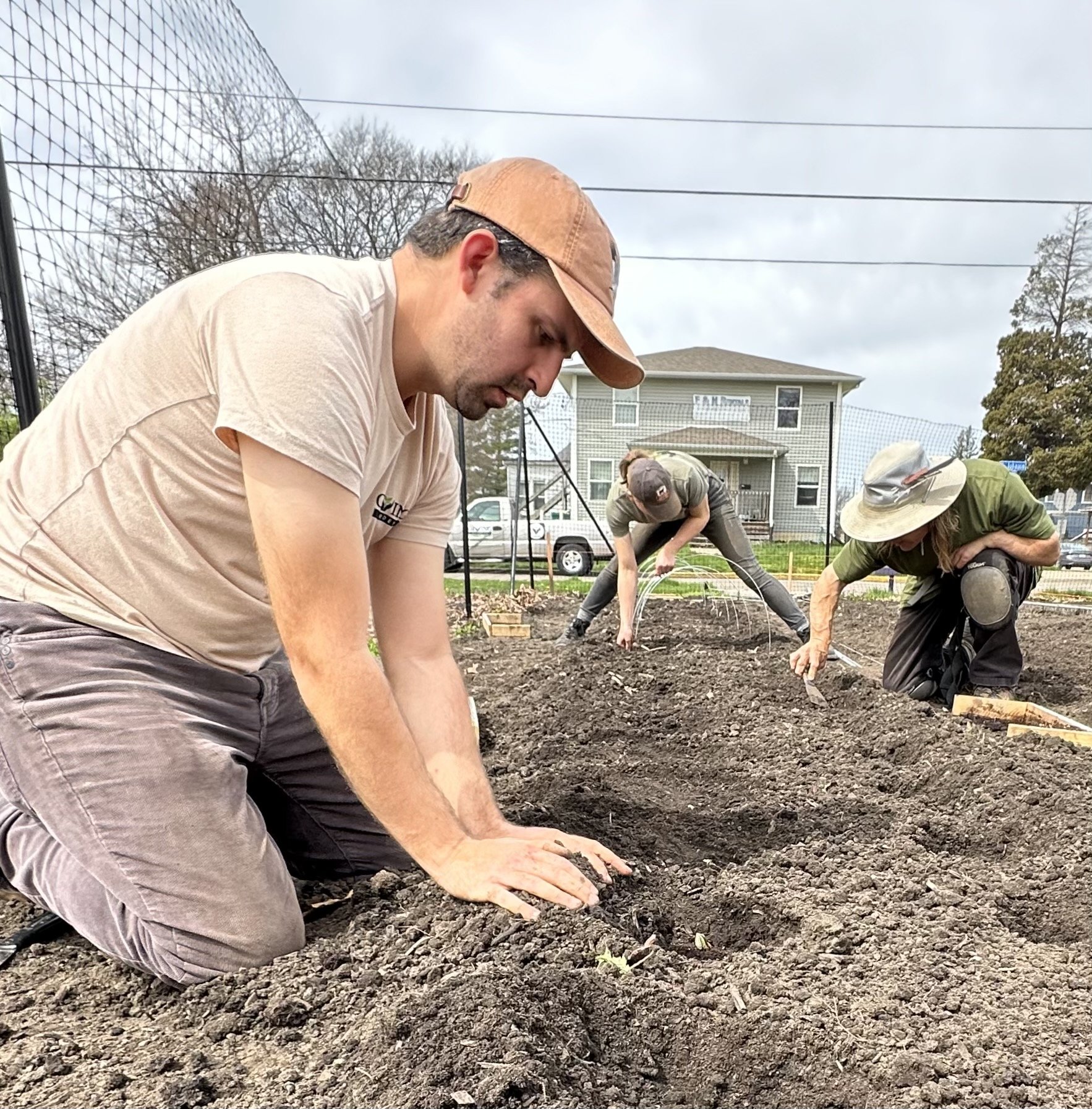 Transplanting green beans.jpeg