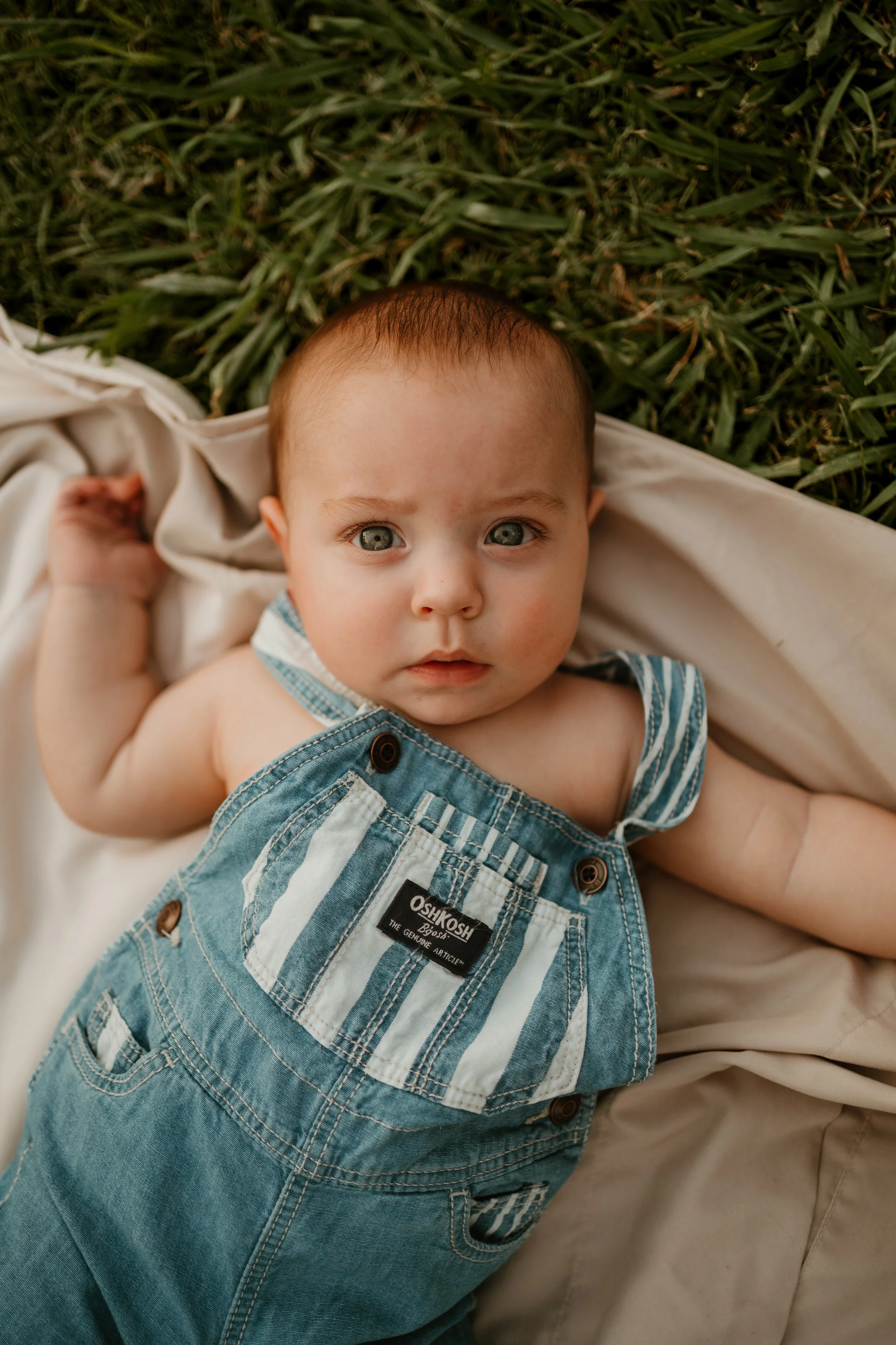 Arlo 6 Month Gallery-29.JPG
