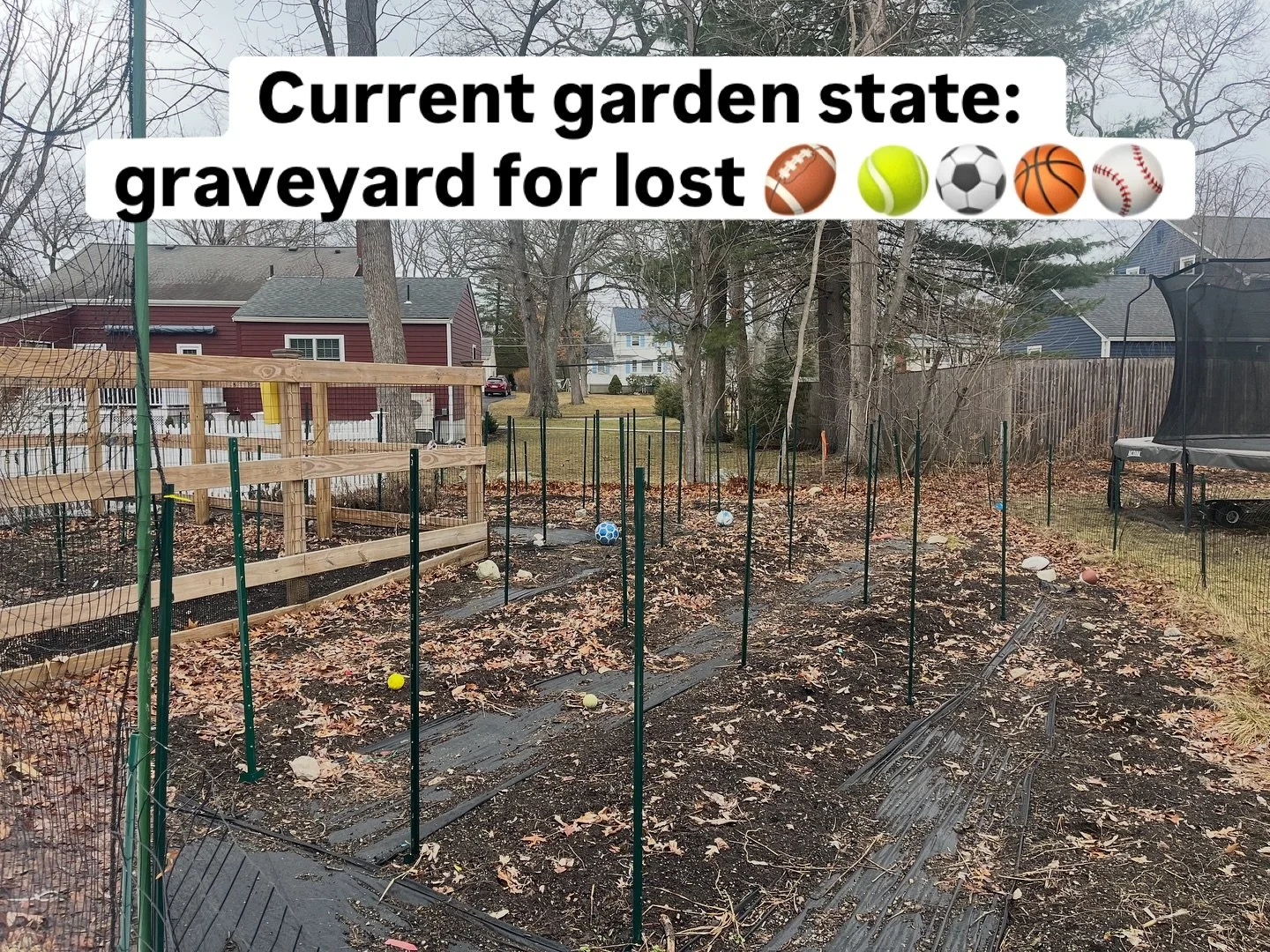 Quiet days at Dempsey Flower Farm 🍂❤️. The garden&rsquo;s currently a treasure trove of lost athletic balls 🤣, but in four months, it&rsquo;ll be bursting with life and beauty 🌿💚. &lsquo;In bloom, we find peace&rsquo; 🌸 #DempseyFlowerFarm #Sprin