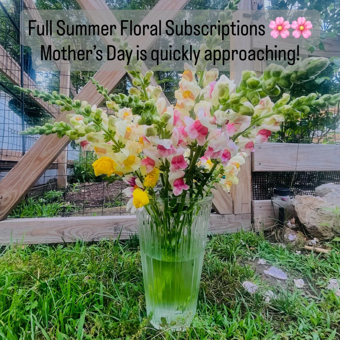 Looking for the perfect gift for your favorite mother&mdash;whether it&rsquo;s your own, a friend, or even yourself? 🌸
When starting Dempsey Farm, I thought about the concept &ldquo;do what you love,&rdquo; but I think what&rsquo;s better is &ldquo;