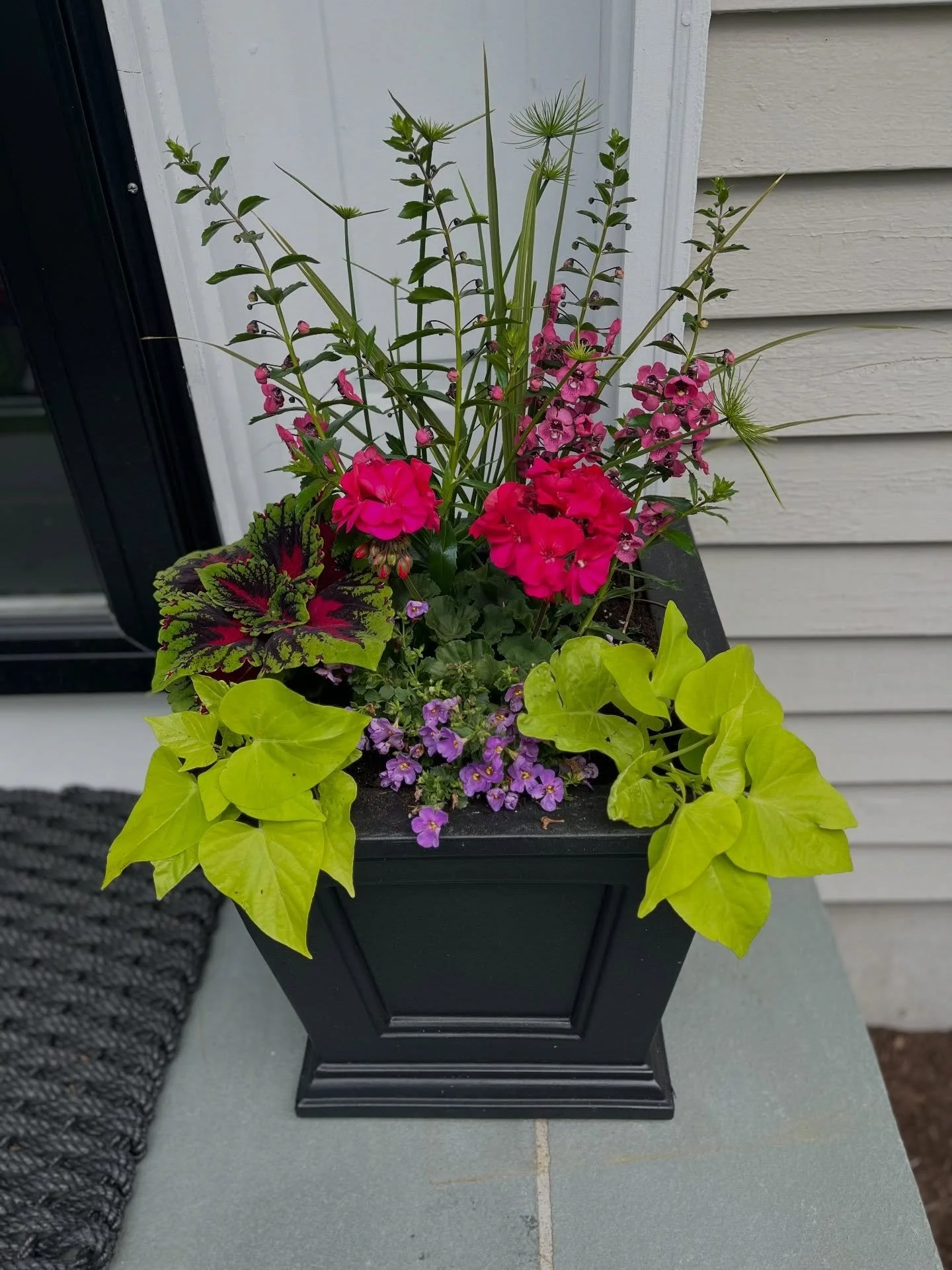 JUNE PLANTER GLOW-UP ALERT 🚨🪴
Your sad, crusty planters called. They&rsquo;re begging for a makeover. 
Booking the first weeks of June for &ldquo;I did zero work&rdquo; planter installs:
💅 We roll up to your house 
🧹 Evict last year&rsquo;s dirt 