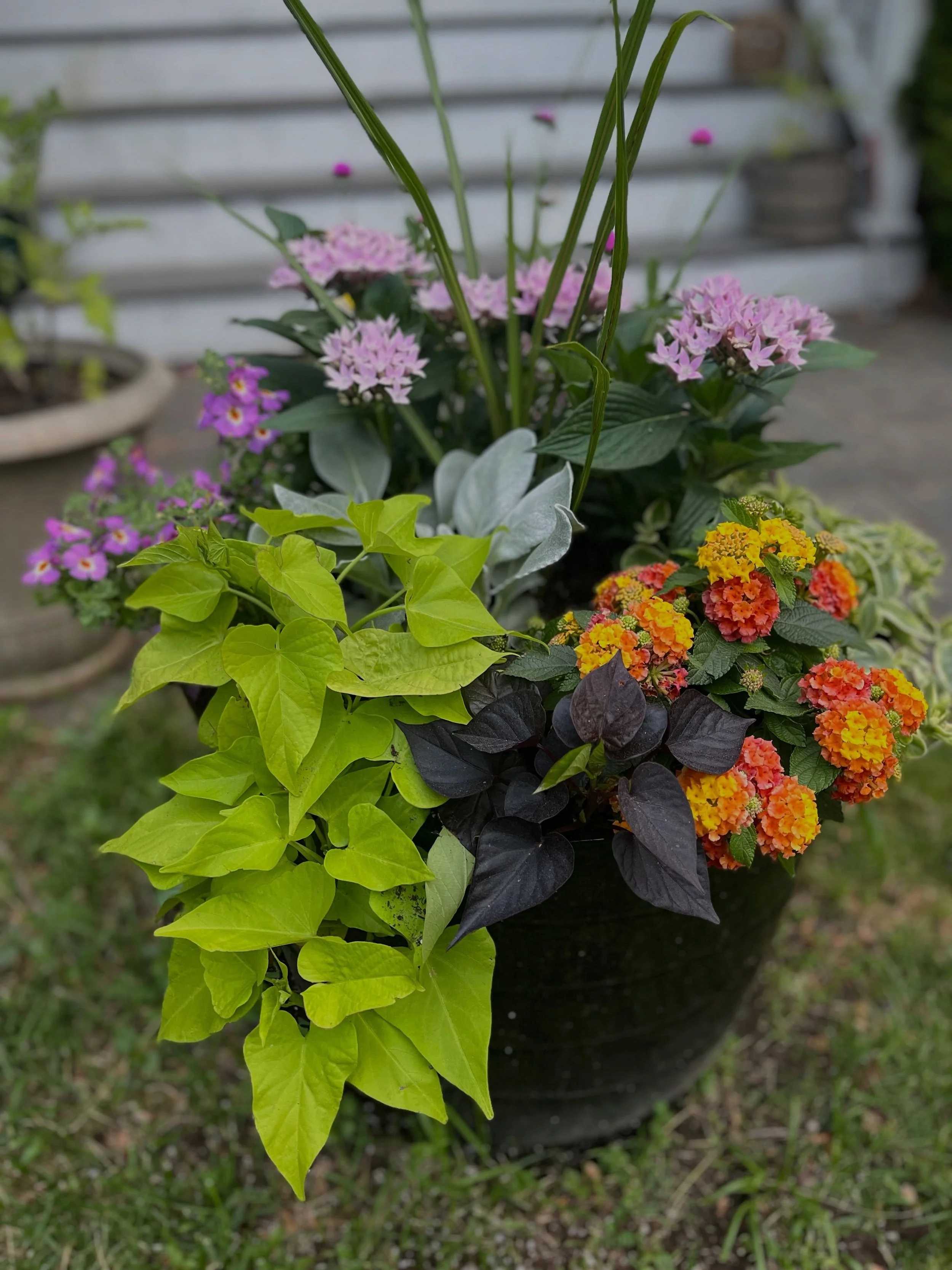 I spent this week with my hands in soil all over town, building custom planters one porch at a time. 🪴🪴🪴🪴
> That&rsquo;s the best part of this work &mdash; every design is different because every home is different. No cookie-cutter flats from 
