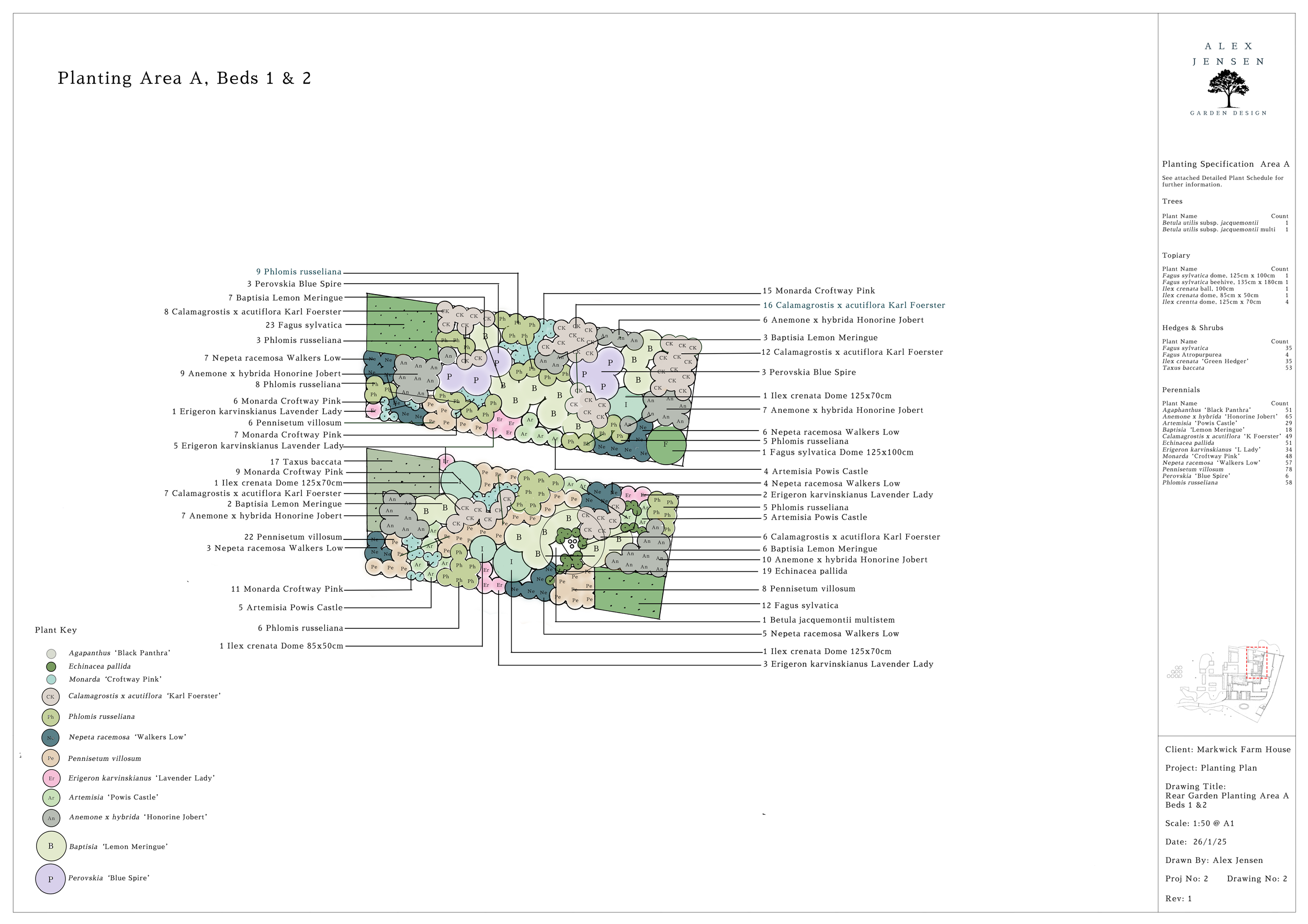 Planting Plan for a section of a Surrey garden.