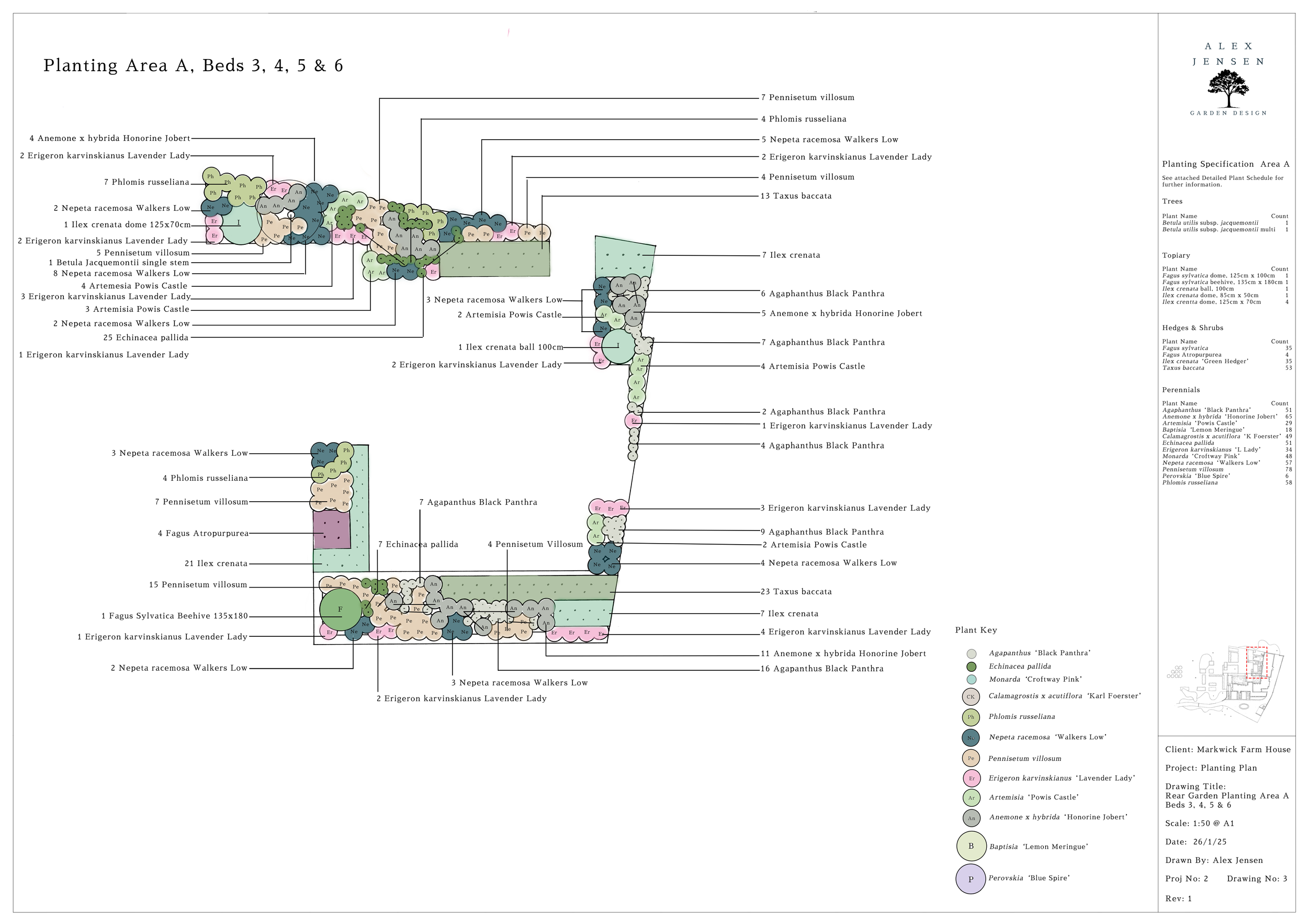 Planting plan for a section of a Surrey garden.