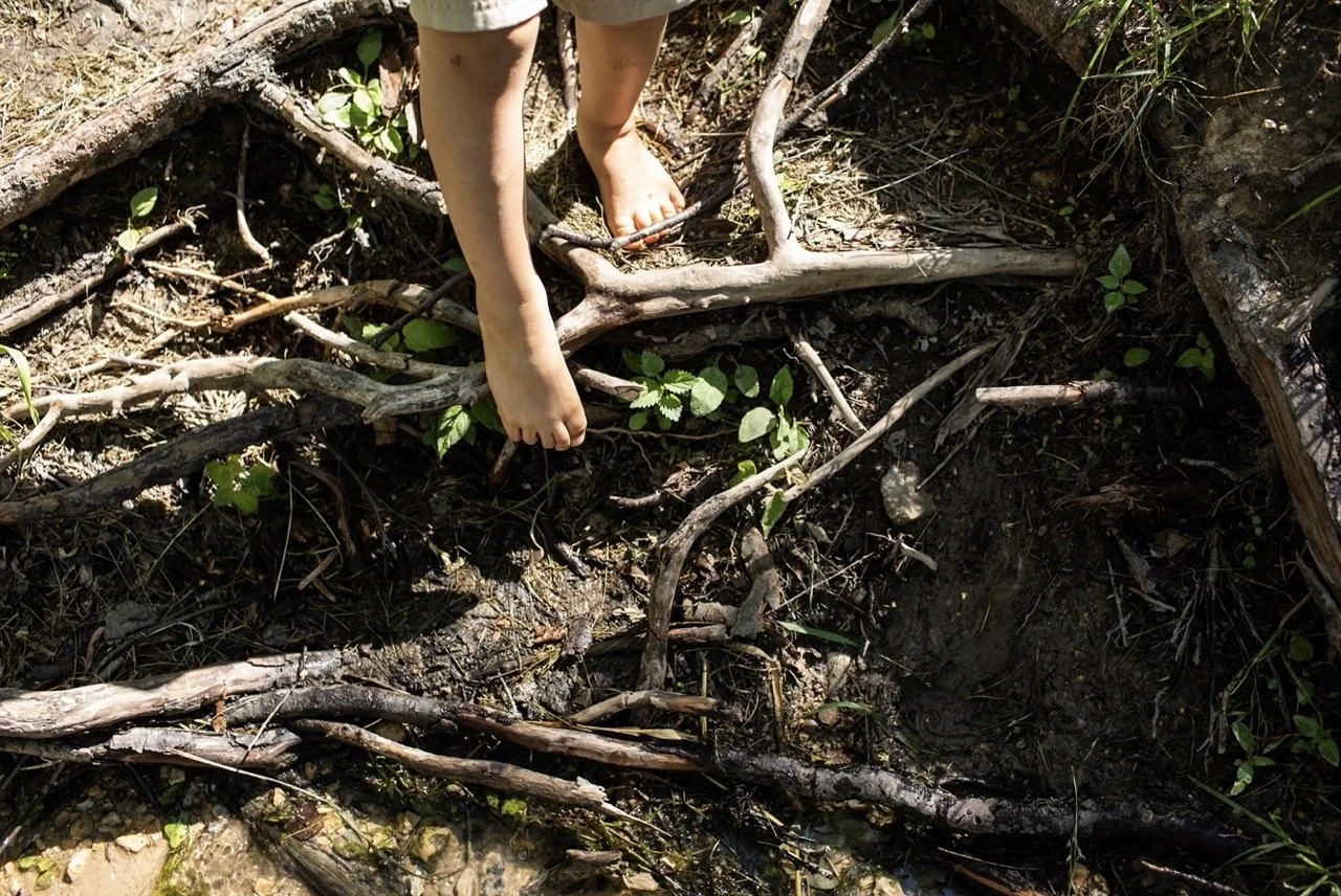 MaureenCassidy-LucysFamilyPhotos07 Large.jpeg
