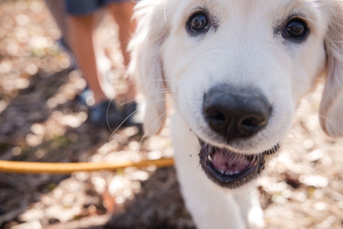 MaureenCassidy-LucysFamilyPhotos34 Large.jpeg