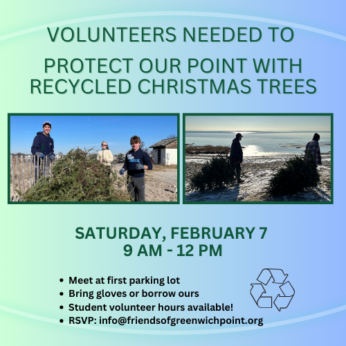 Volunteer to Protect Our Point