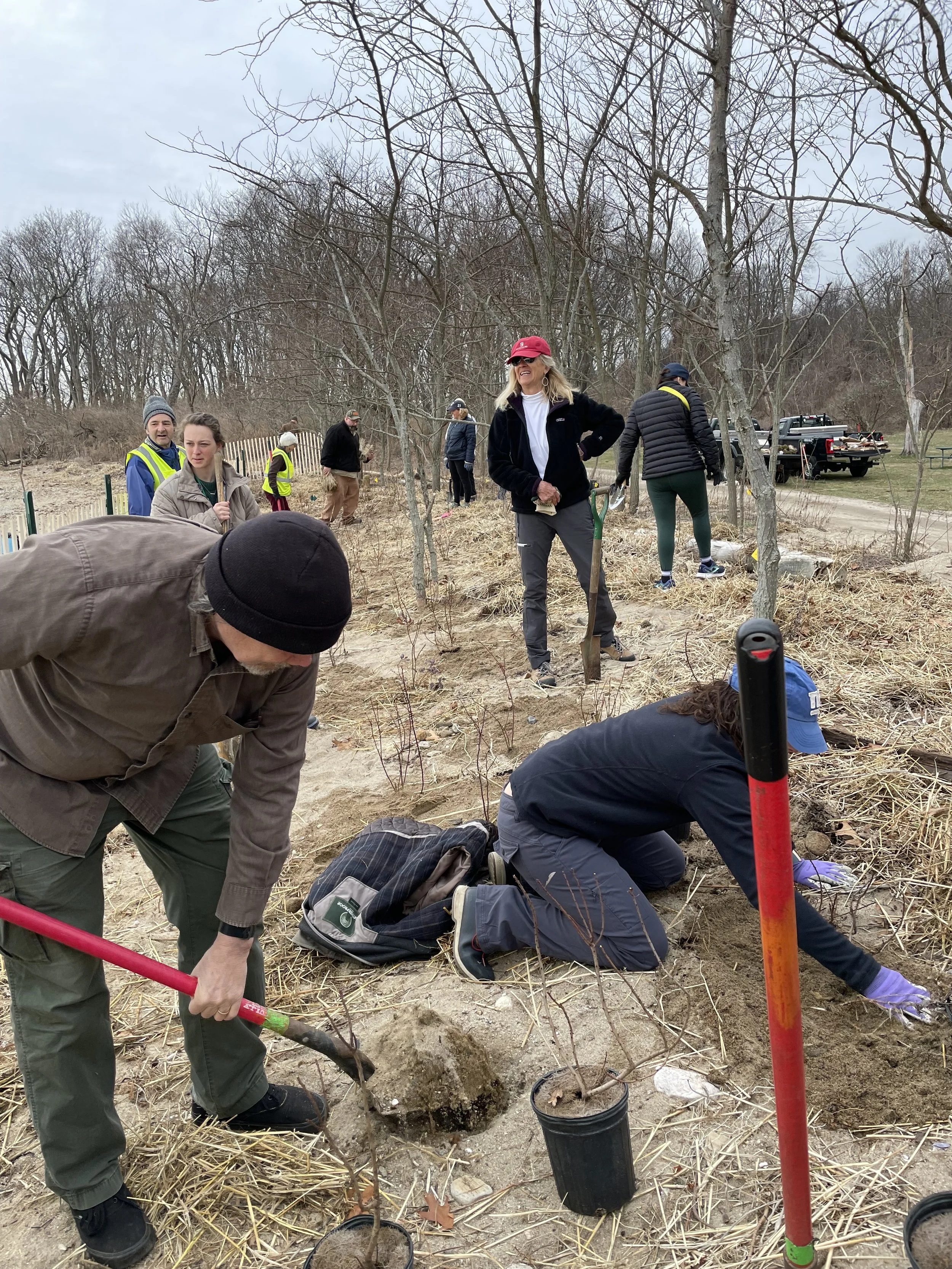 Volunteers Needed to Plant Native Trees and Shrubs