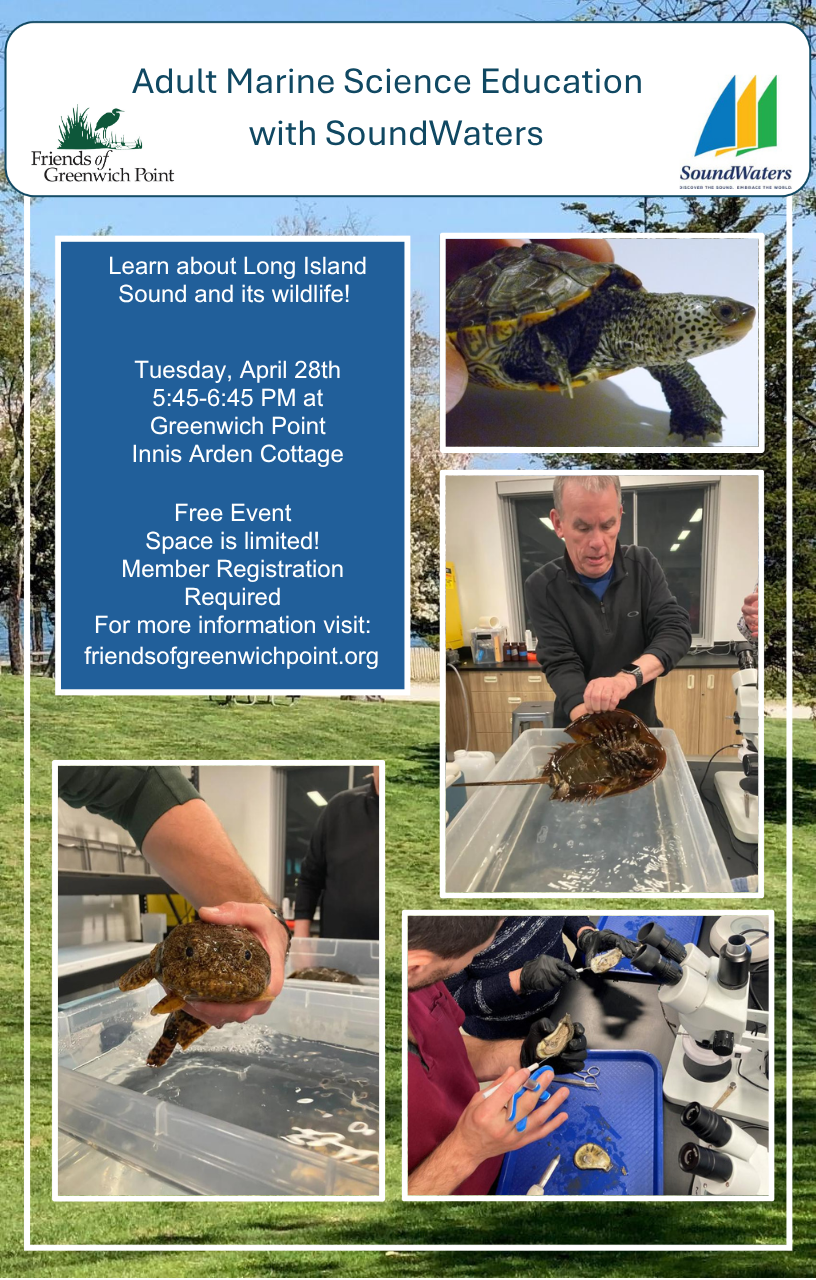 Adult Marine Science Education with SoundWaters