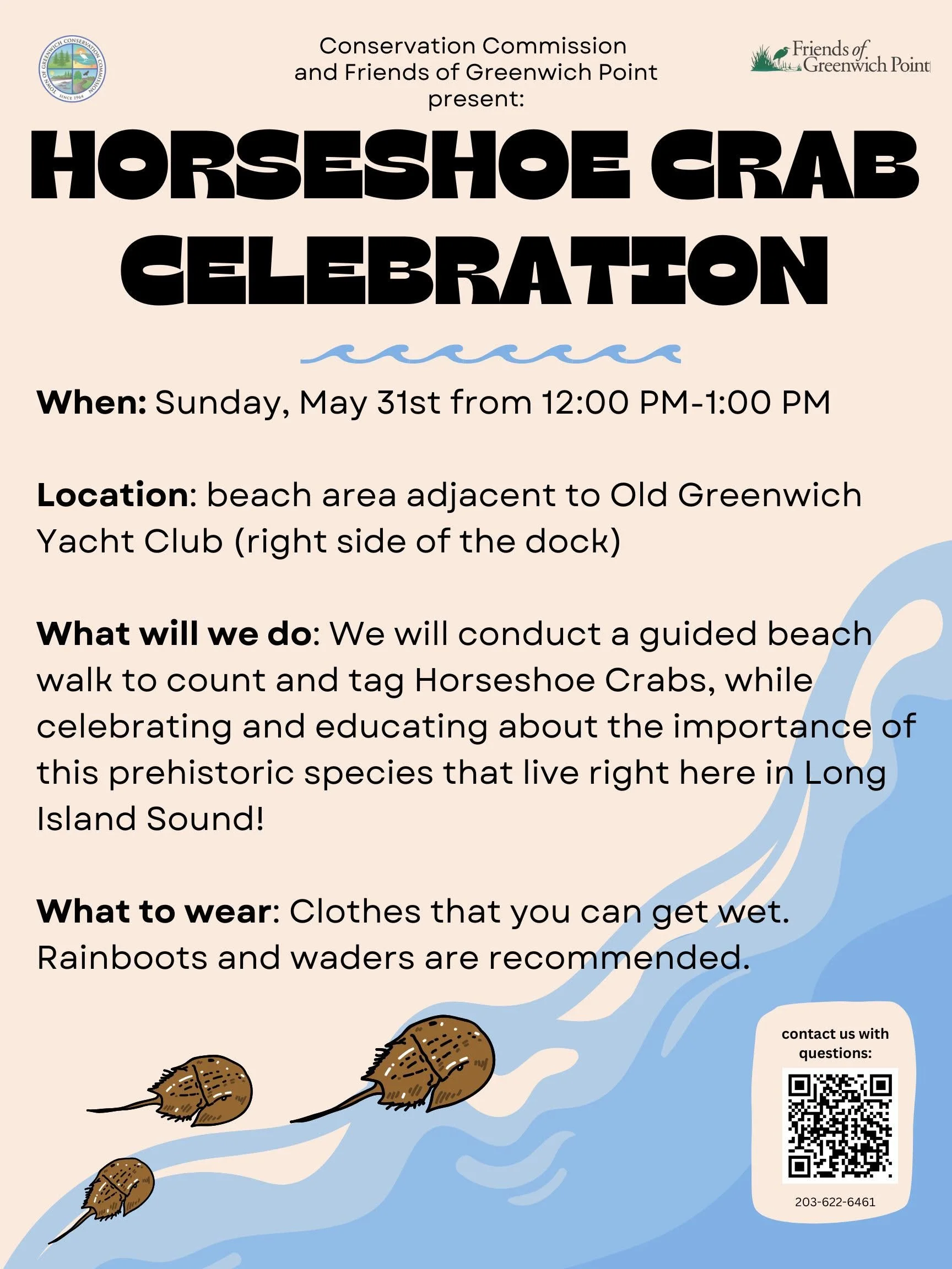 Horseshoe Crab Celebration Sunday, May 31st