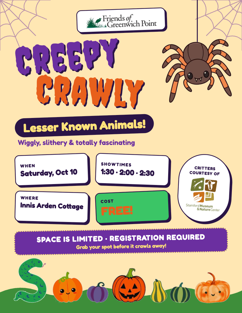 Creepy Crawly Lesser Known Animals