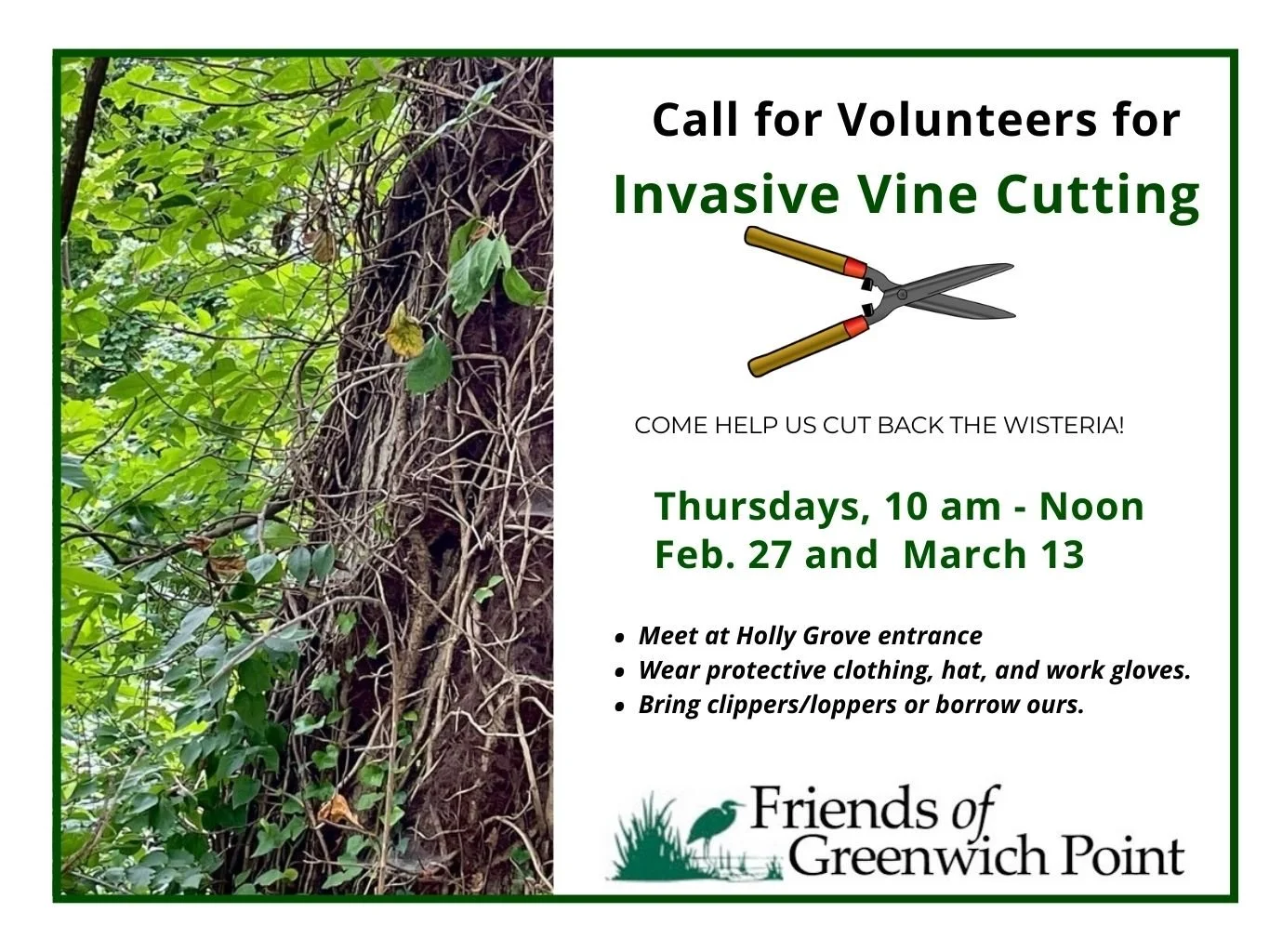 Vine Cutting Volunteers Needed — Friends of Greenwich Point