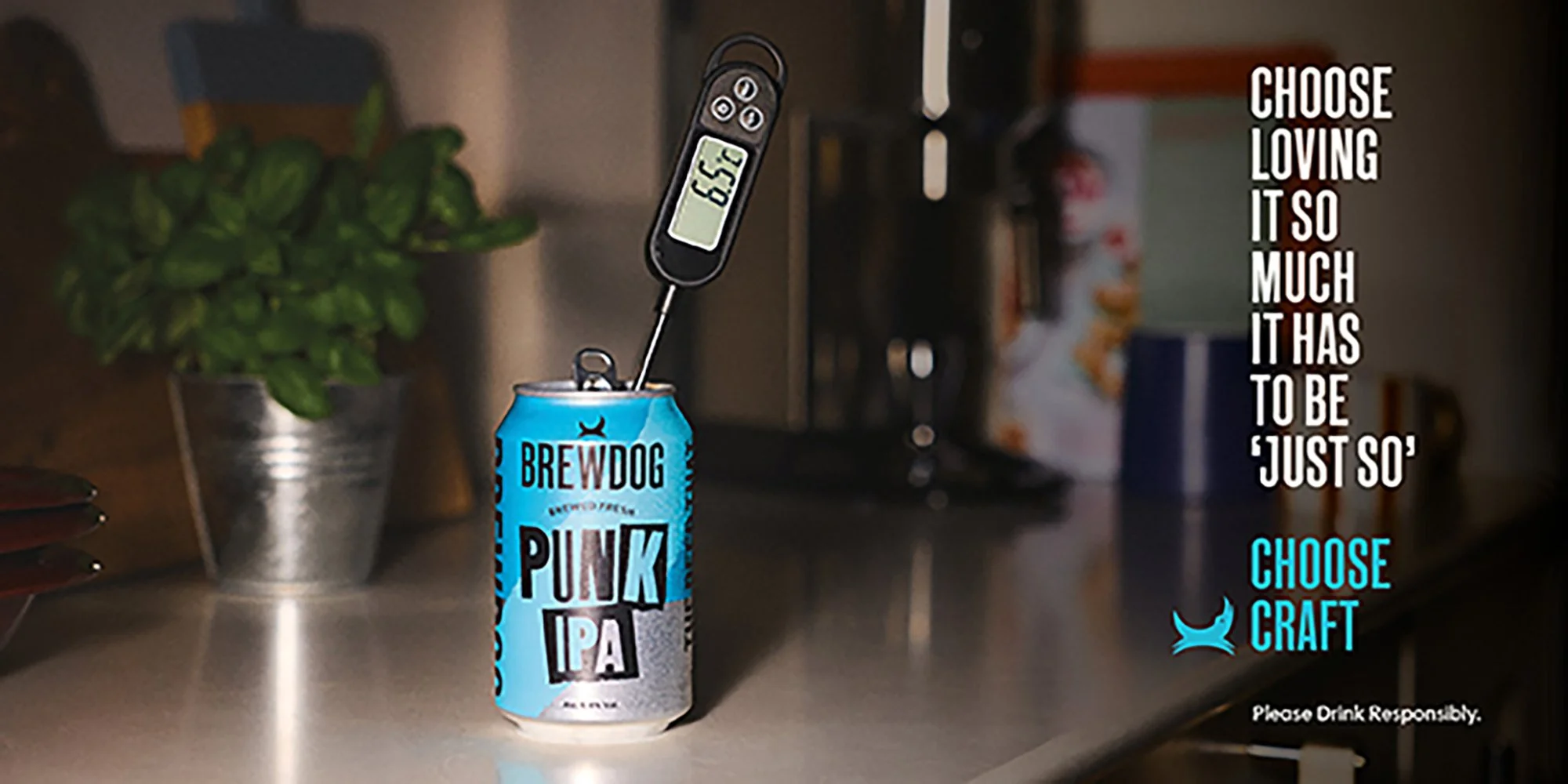 NORTHY_Choose-Craf-Brew-Dog_21.jpg