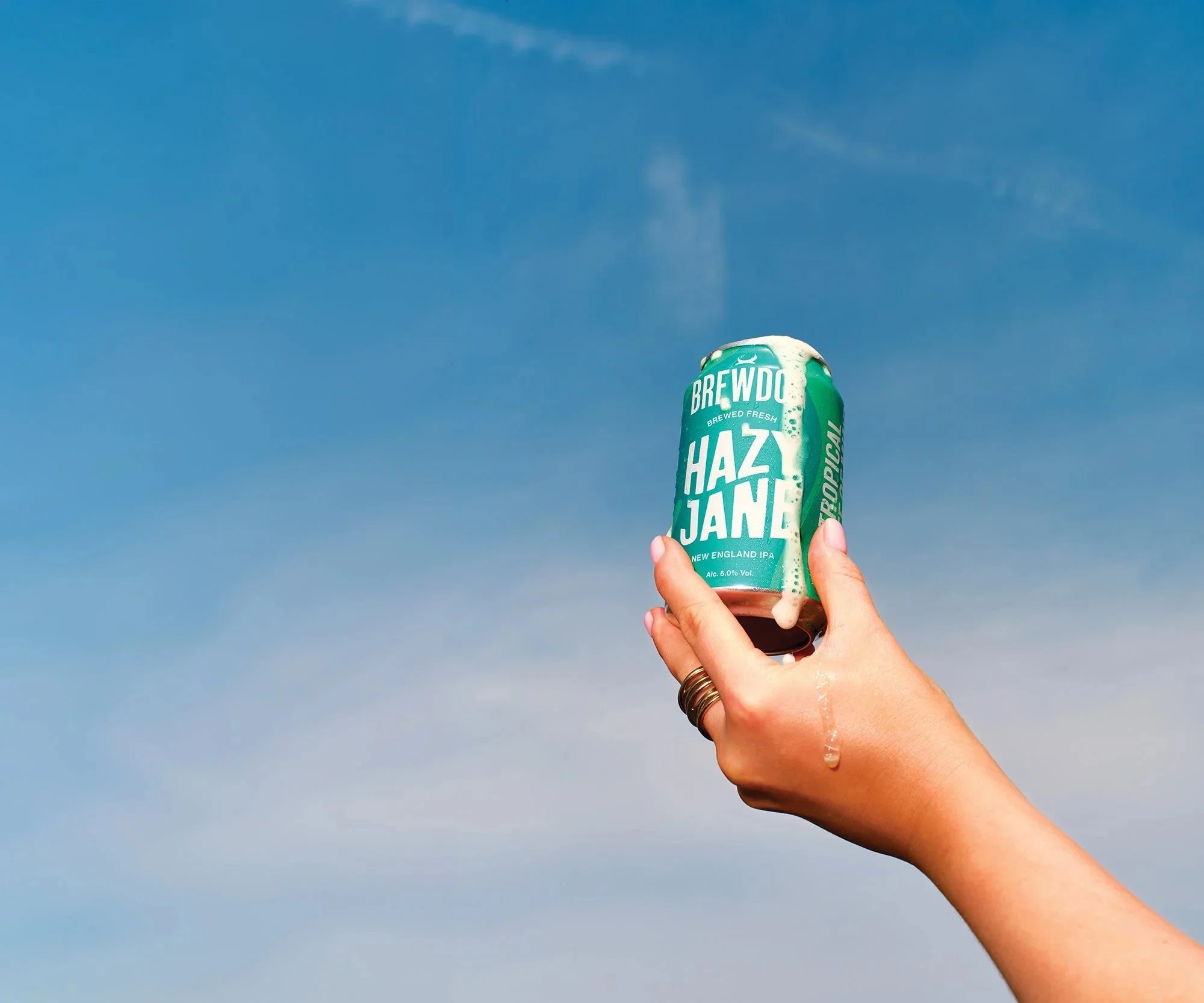 Brew Dog