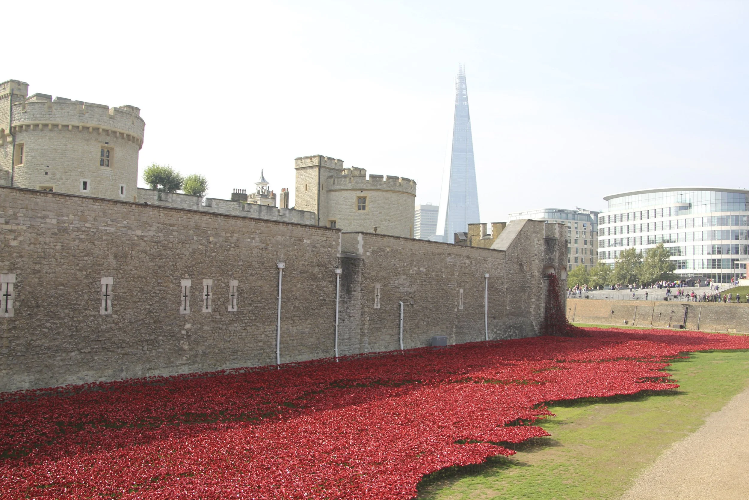 We Remember 800000 Poppies.jpg