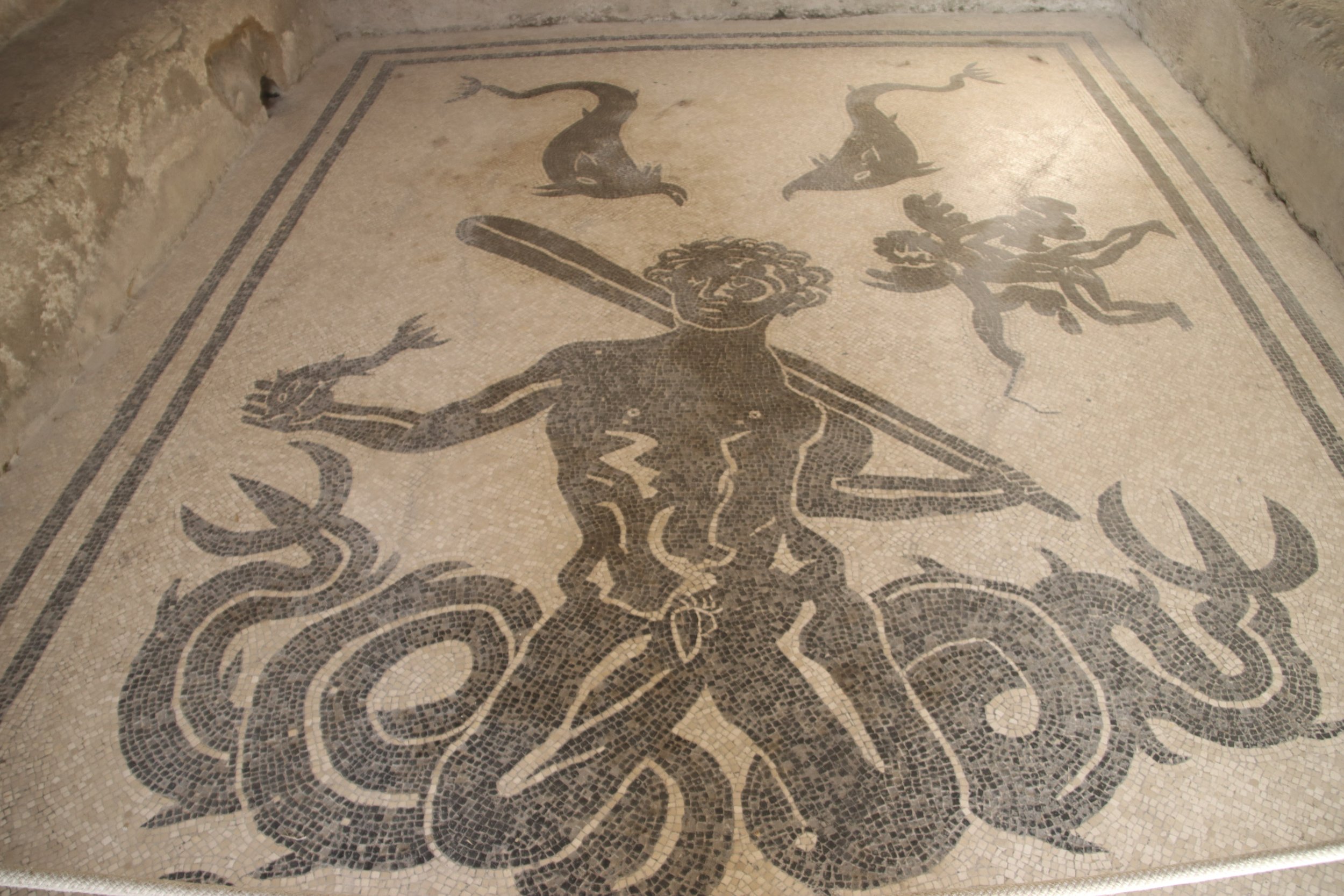 Pompeii Mosaic — Pompeii, Italy