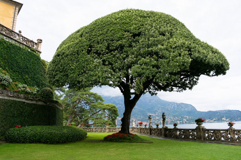Villa Balbianello cleaned up.png