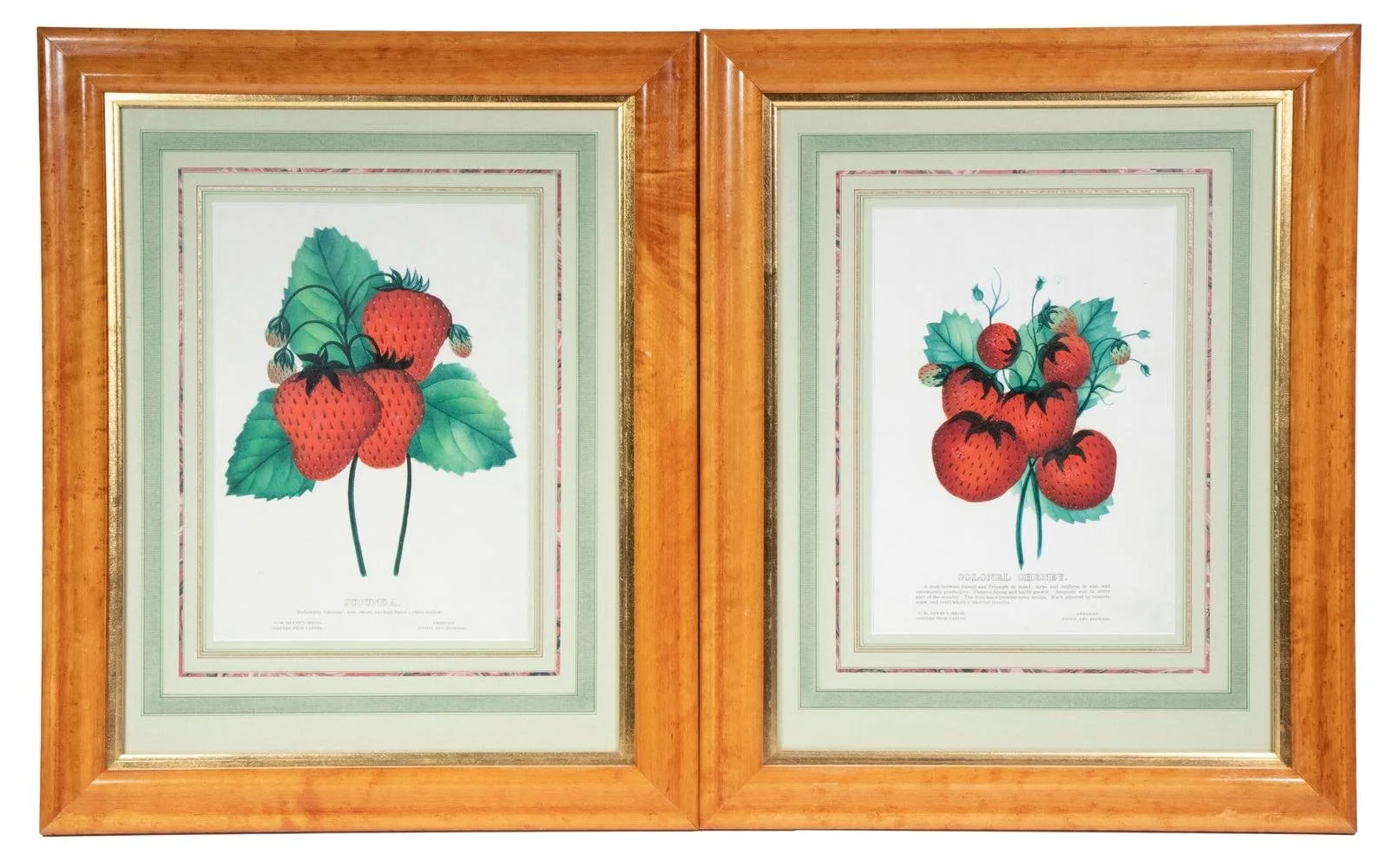 Pair of Strawberry Botanical Prints