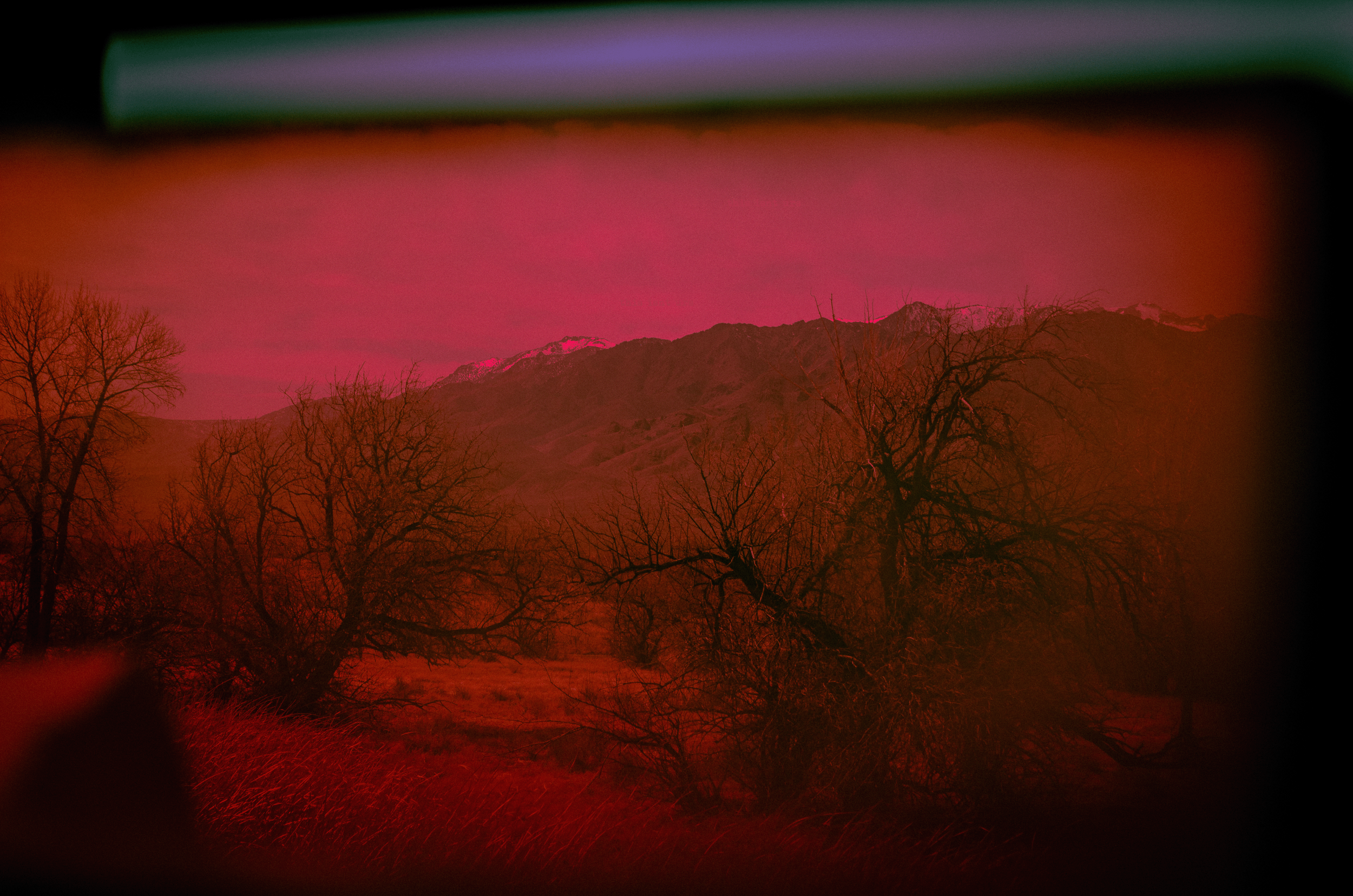 Ruby Red Reflection