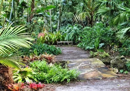 The Florida Garden Freeze Guide: How to Prepare, Protect, and Restore Your Landscape and Garden