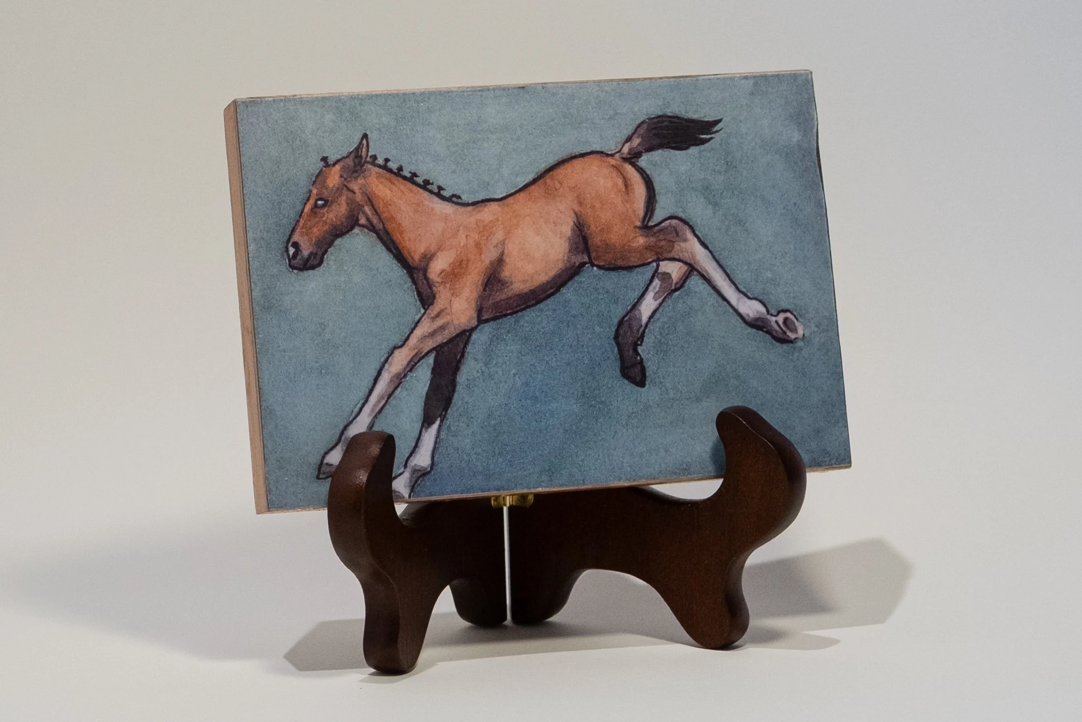 Frisky Foal Side.jpg