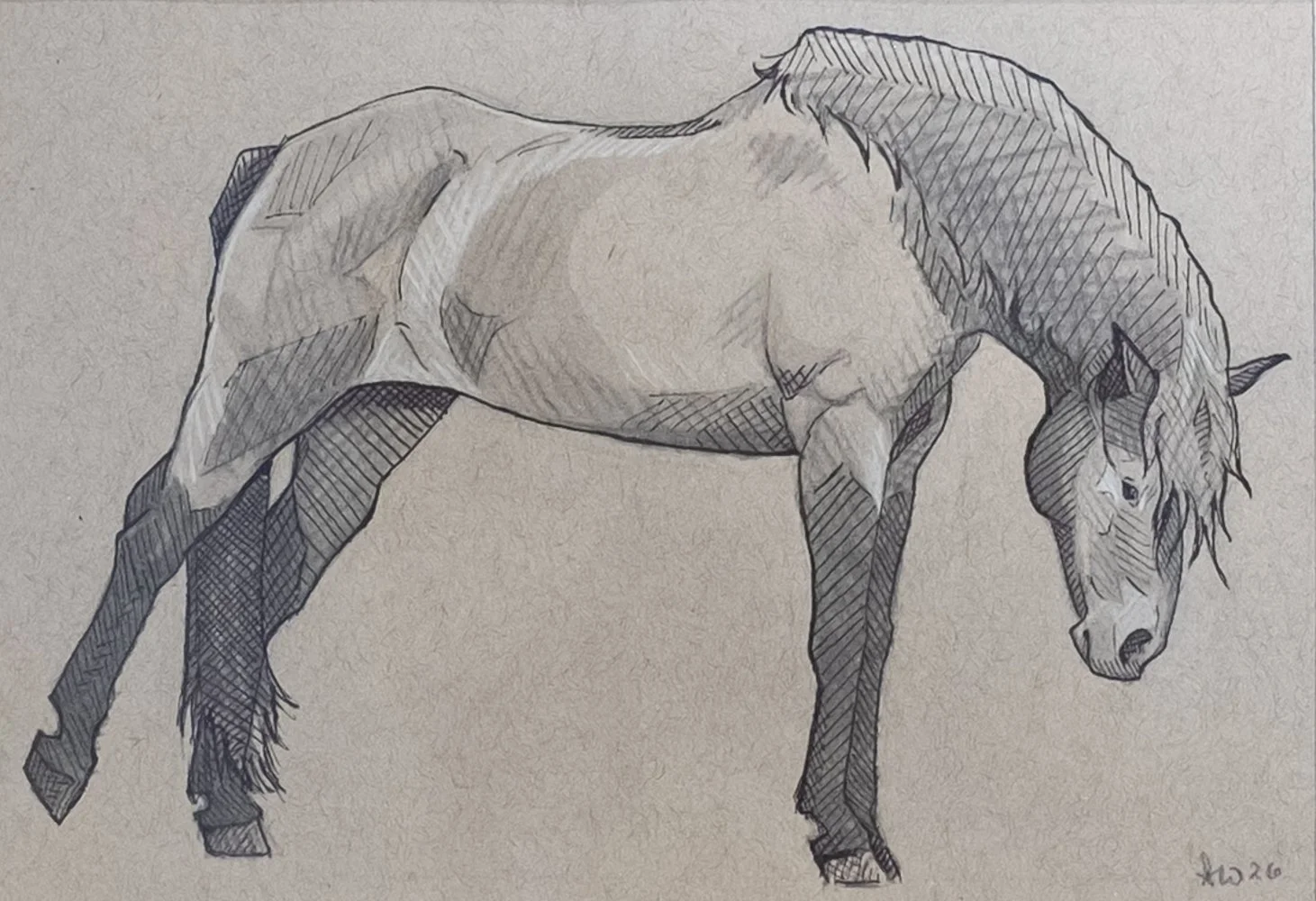 Morning Stretch Detail.jpg