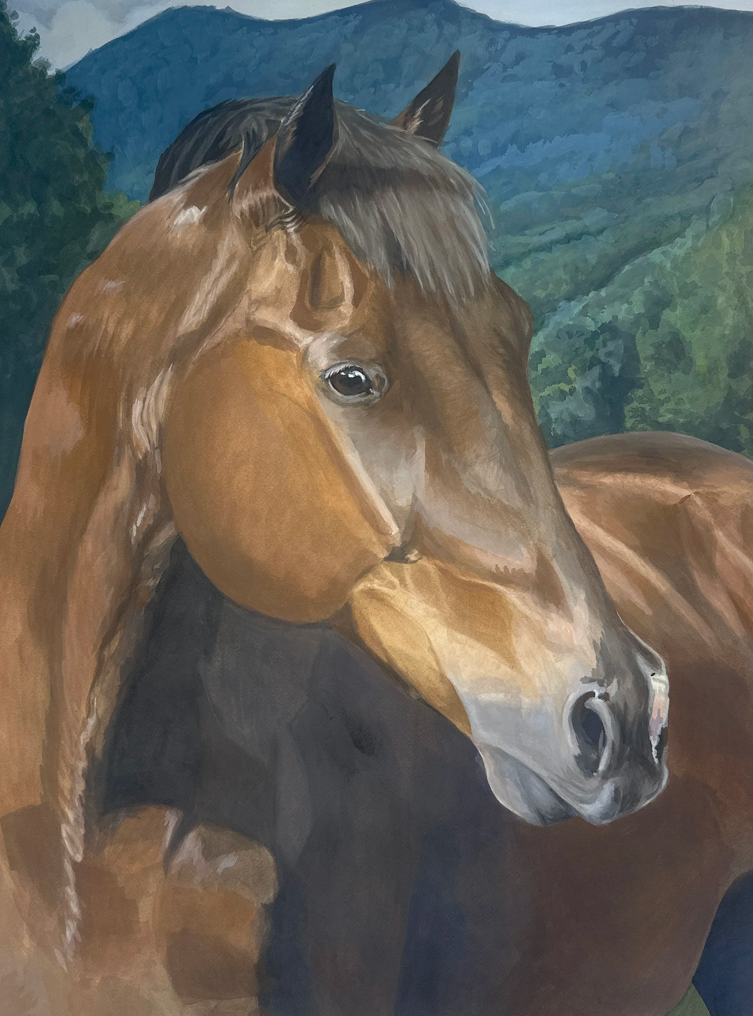 Close-up of a brown horse with a dark mane against a scenic mountain and forest background.