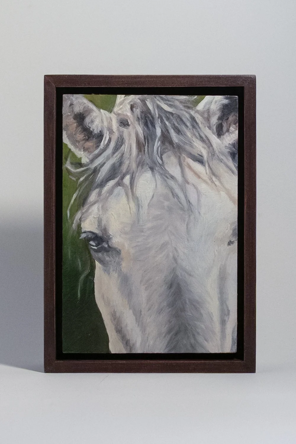 Soft Stallion Front-2.jpg