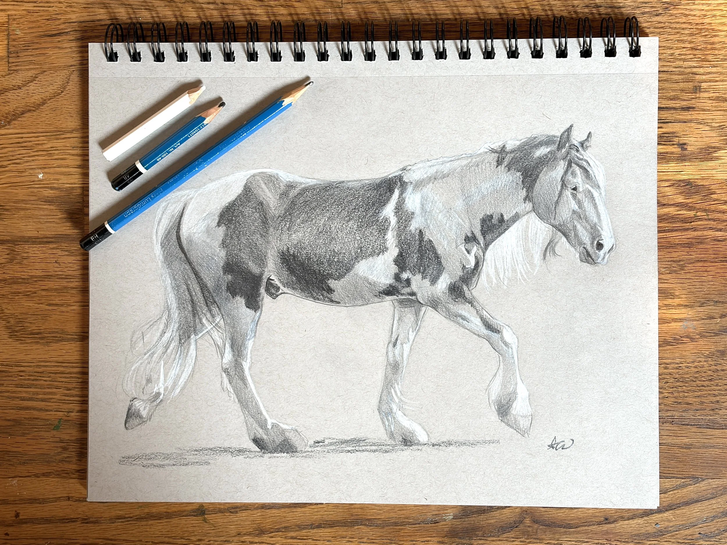 "Painted Beauty" 9"x12" Graphite on Toned Paper