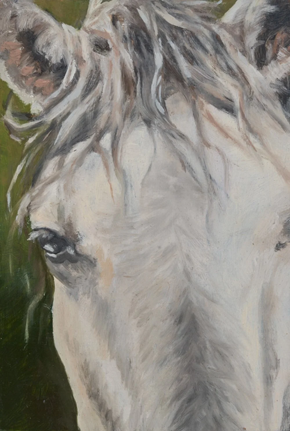 Soft Stallion Detail.jpg
