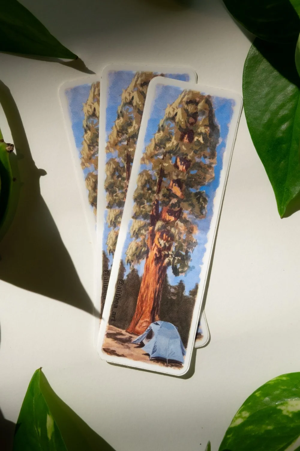 "Camp Sequoia" Sticker