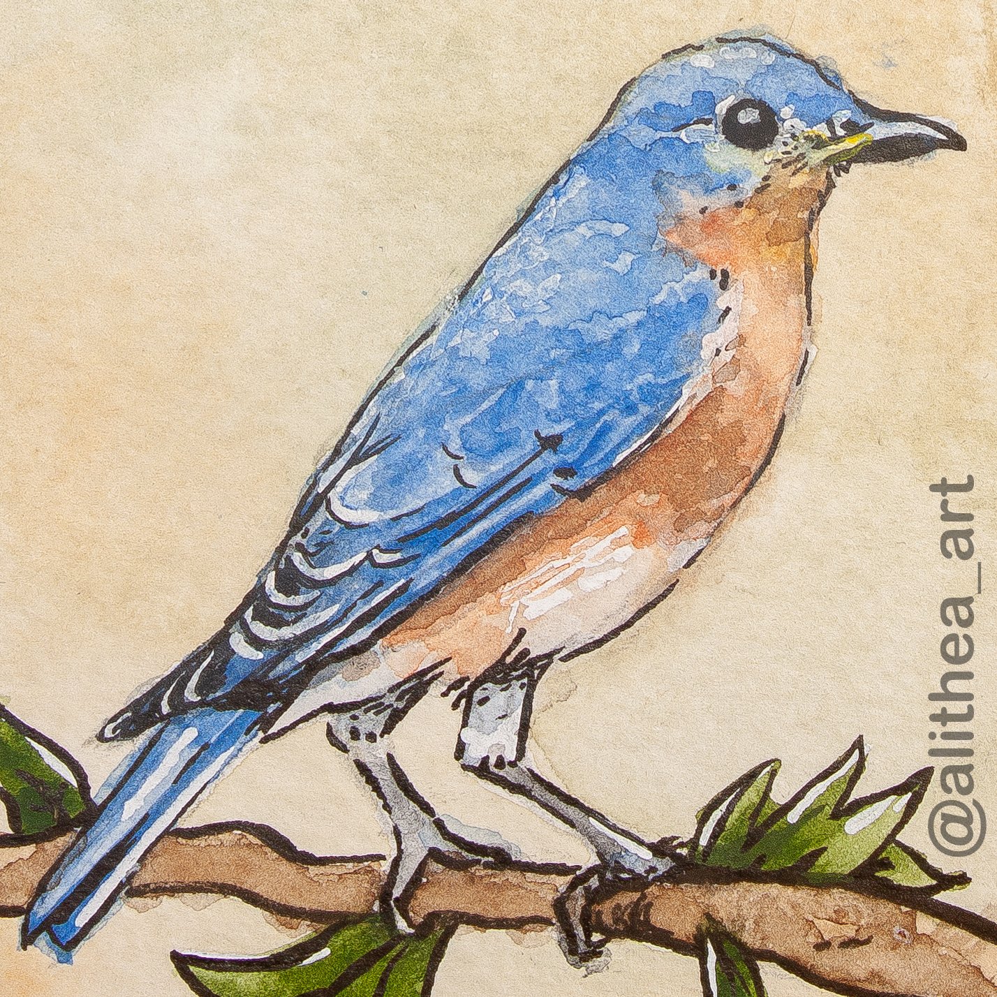 Bluebird_Sticker.jpg