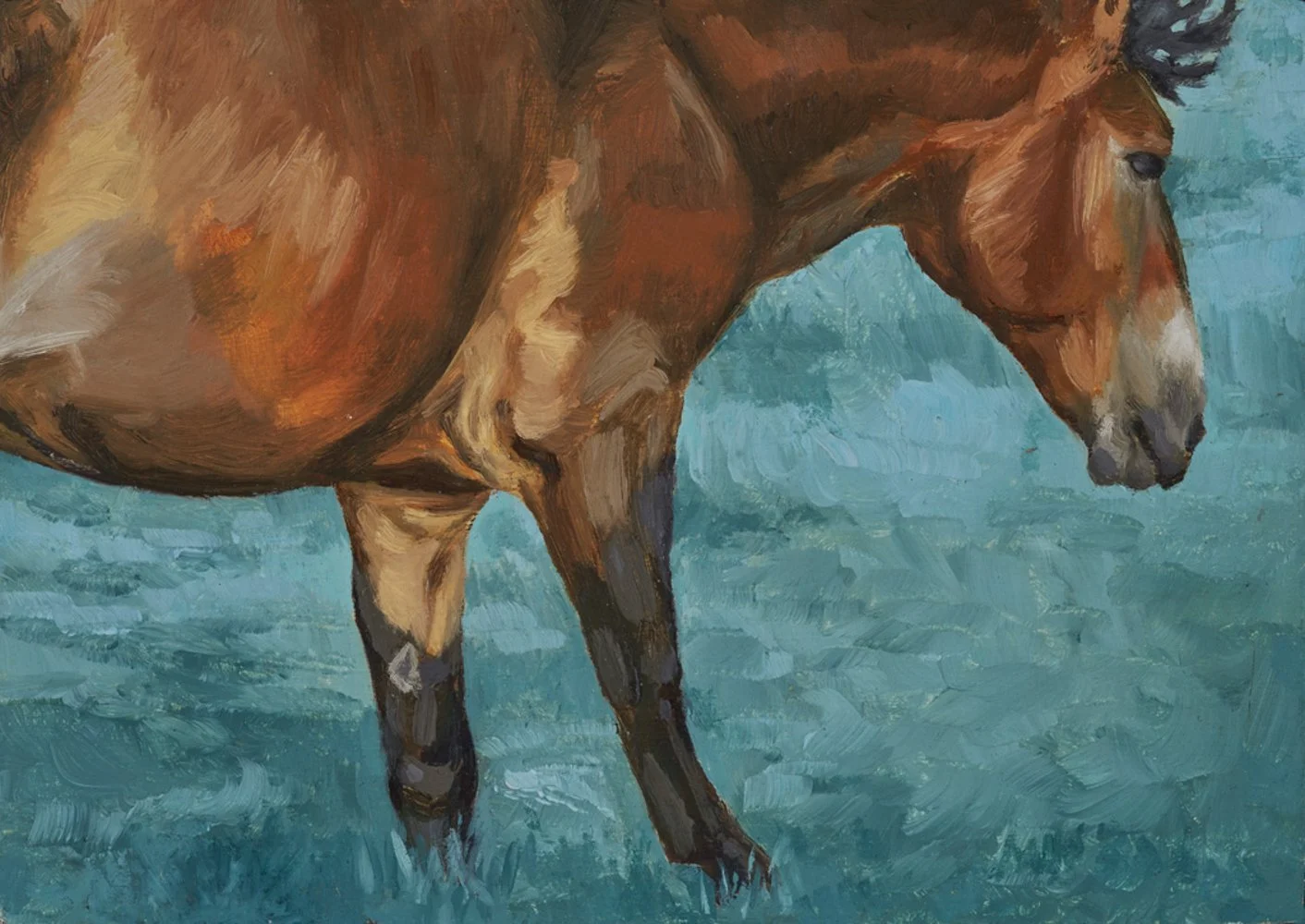 Morning Glow Detail.jpg