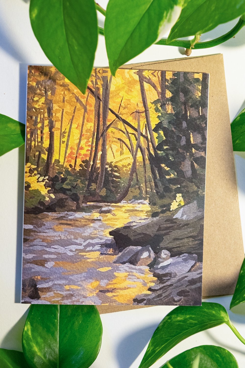 "Behind Looking Glass" A2 Blank Greeting Cards